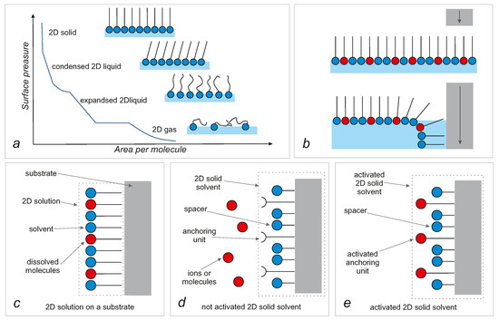 Nanostructured Silica with Anchoring Units: The 2D Solid Solvent