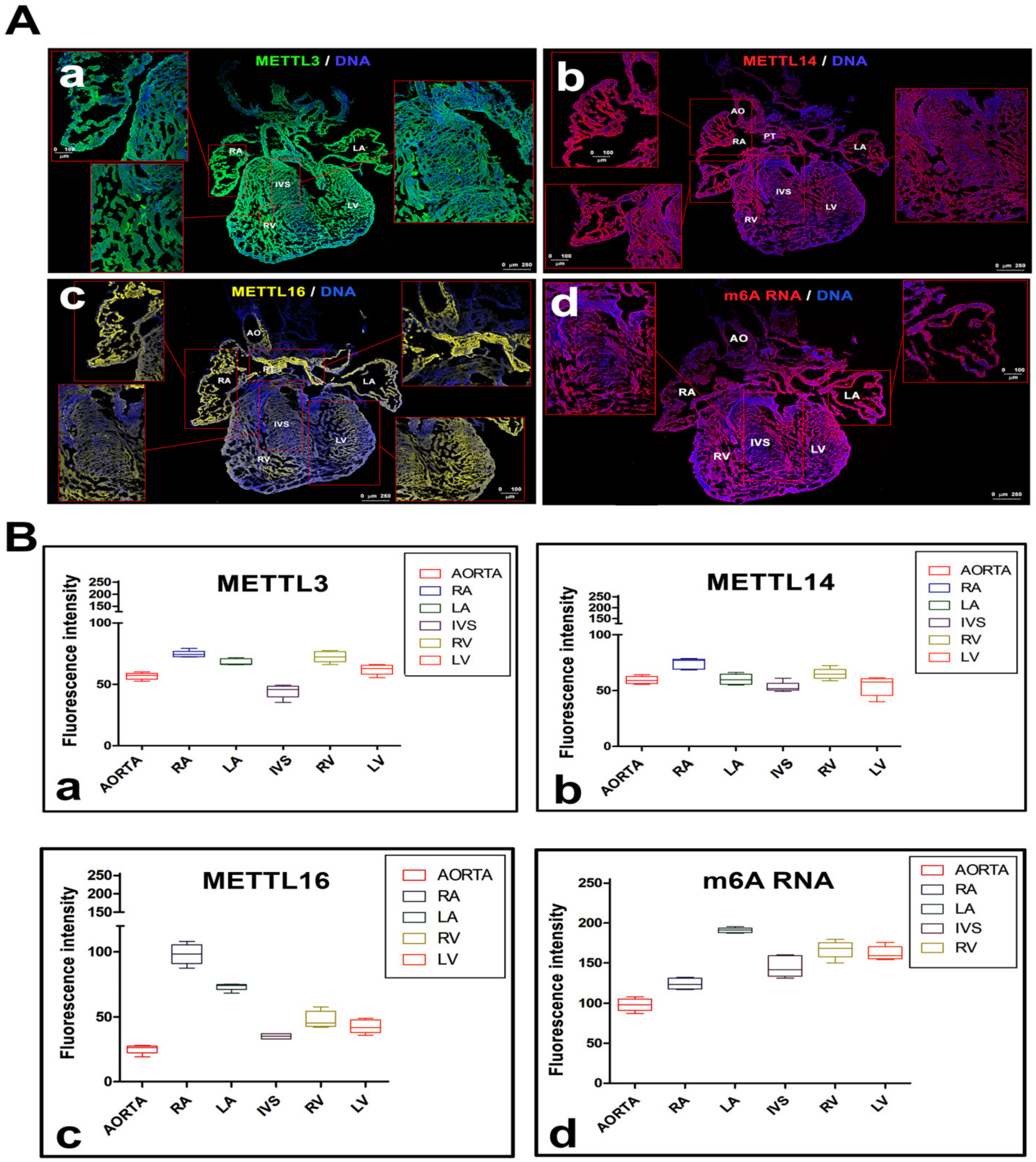 Ijms 21 08139 g001 Ijms 21 08139 g001