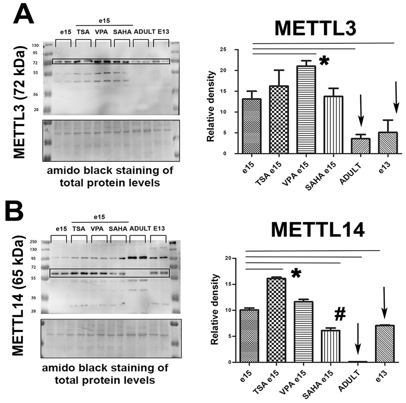 Ijms 21 08139 g003a Ijms 21 08139 g003a