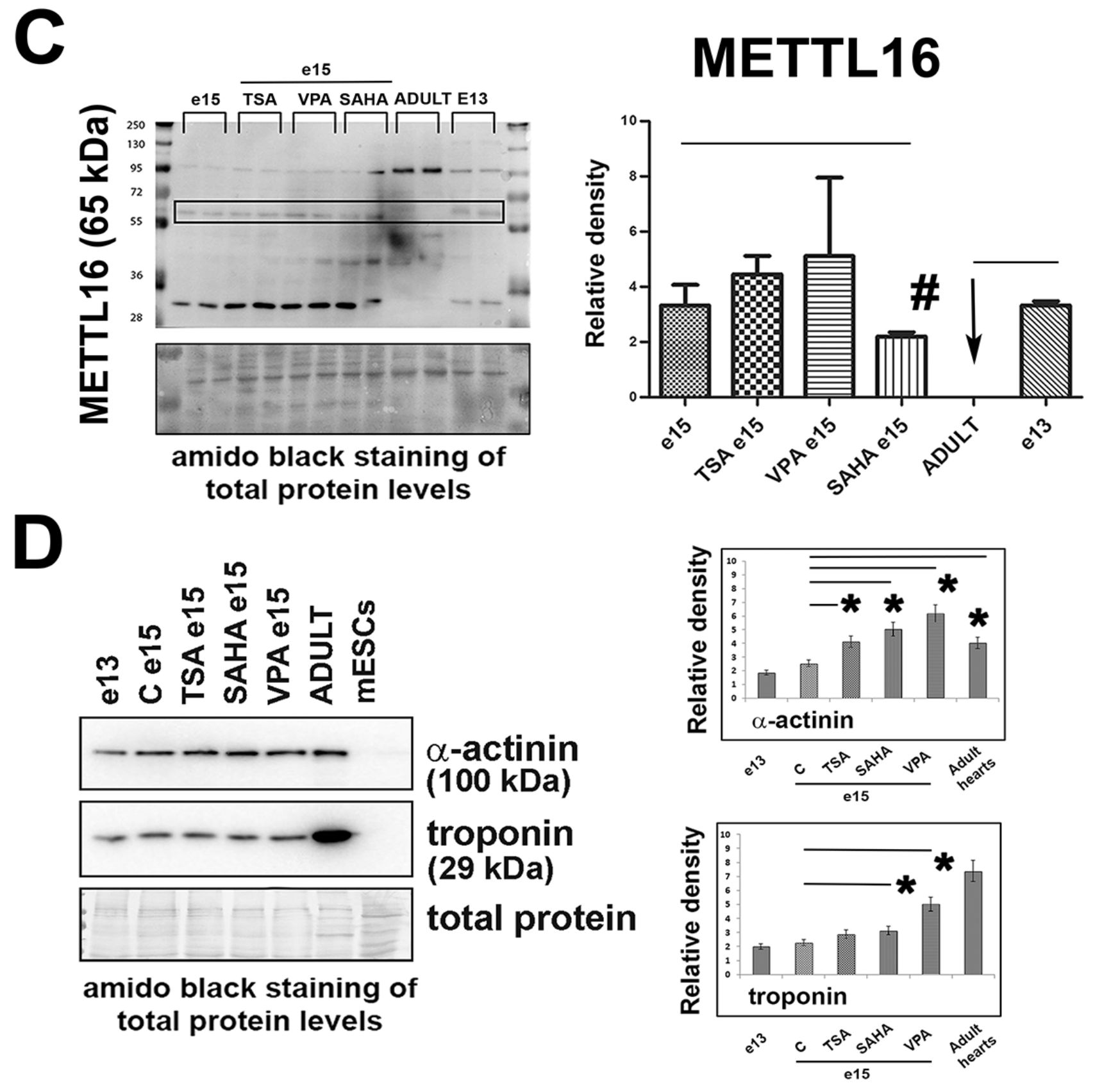 Ijms 21 08139 g003b Ijms 21 08139 g003b