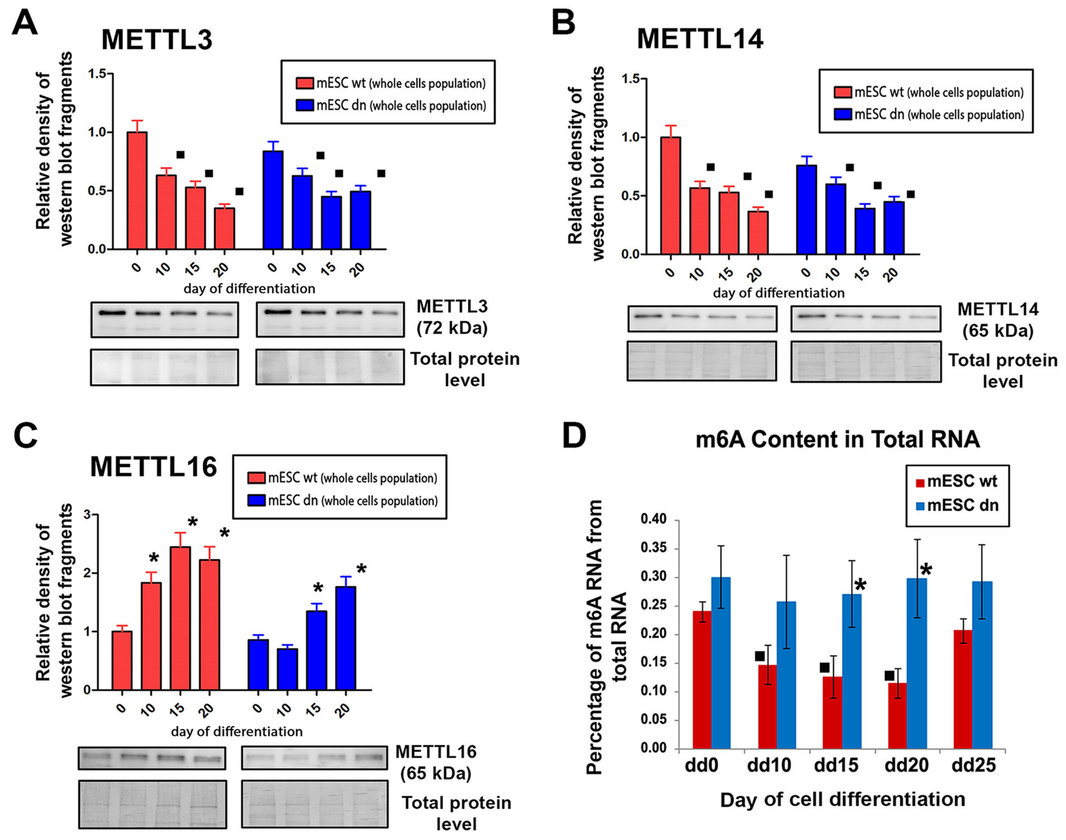 Ijms 21 08139 g004 Ijms 21 08139 g004