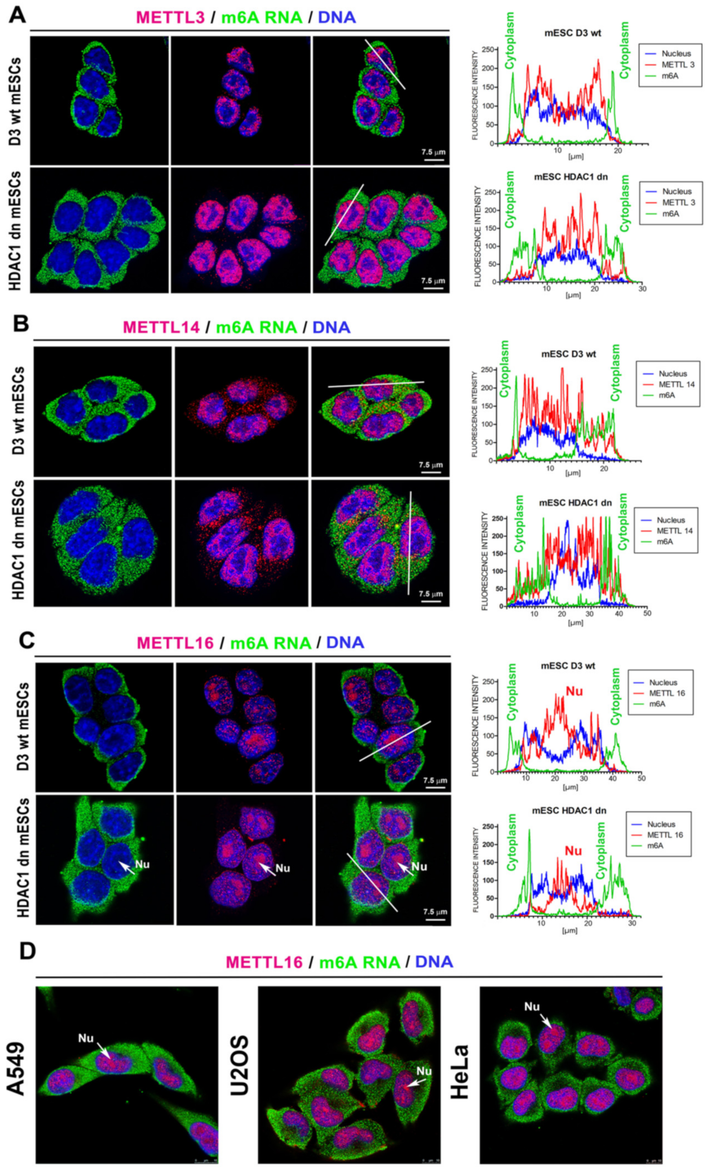 Ijms 21 08139 g007 Ijms 21 08139 g007