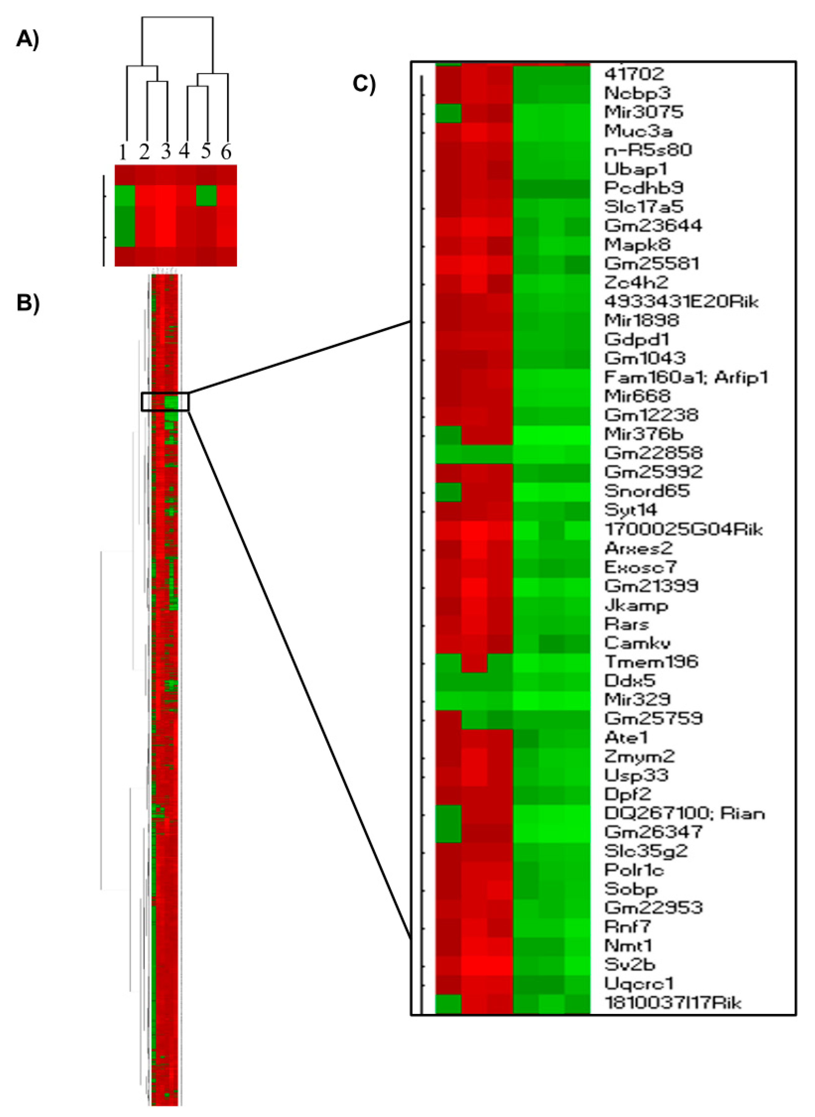 Ijms 21 08146 g003 Ijms 21 08146 g003