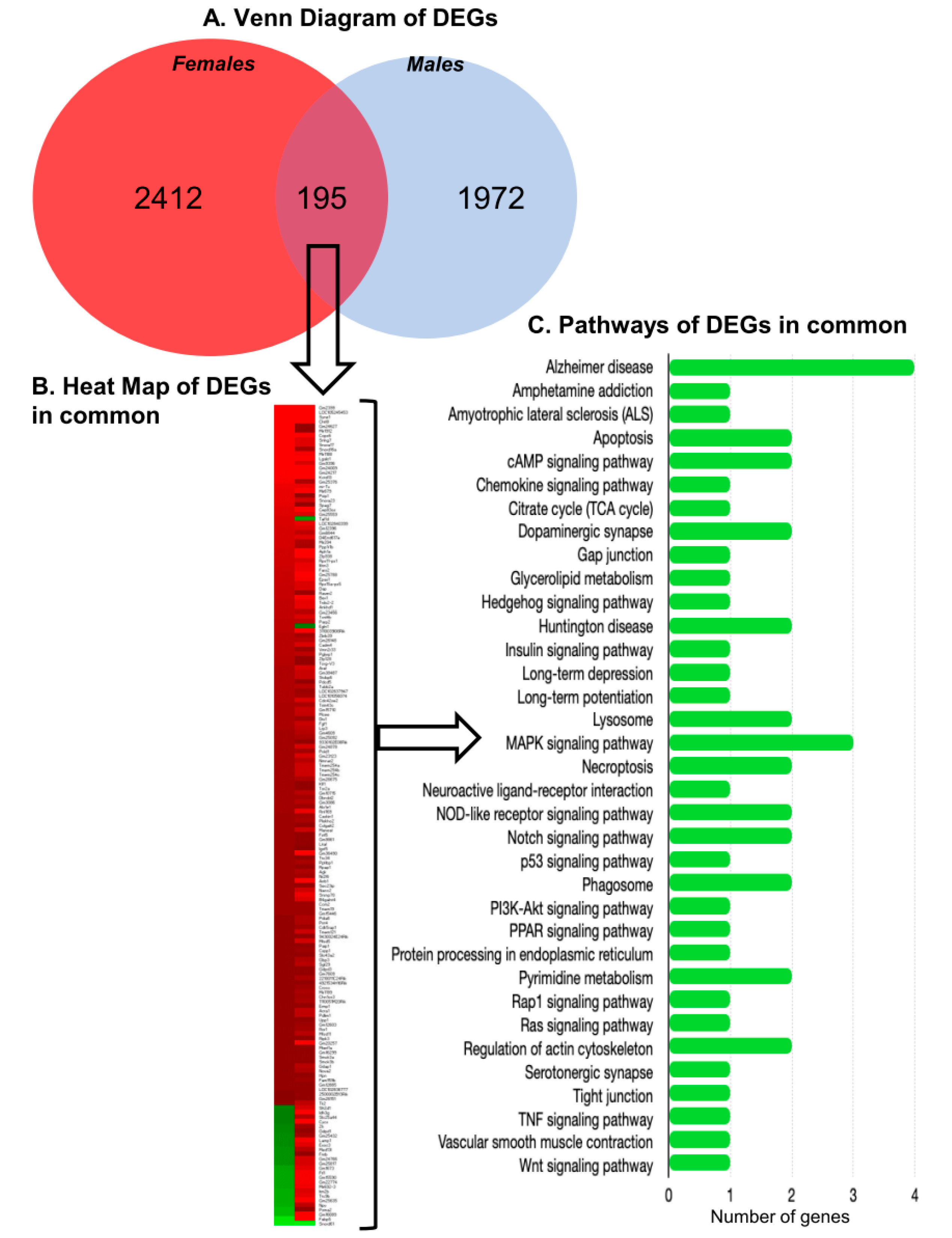 Ijms 21 08146 g005 Ijms 21 08146 g005