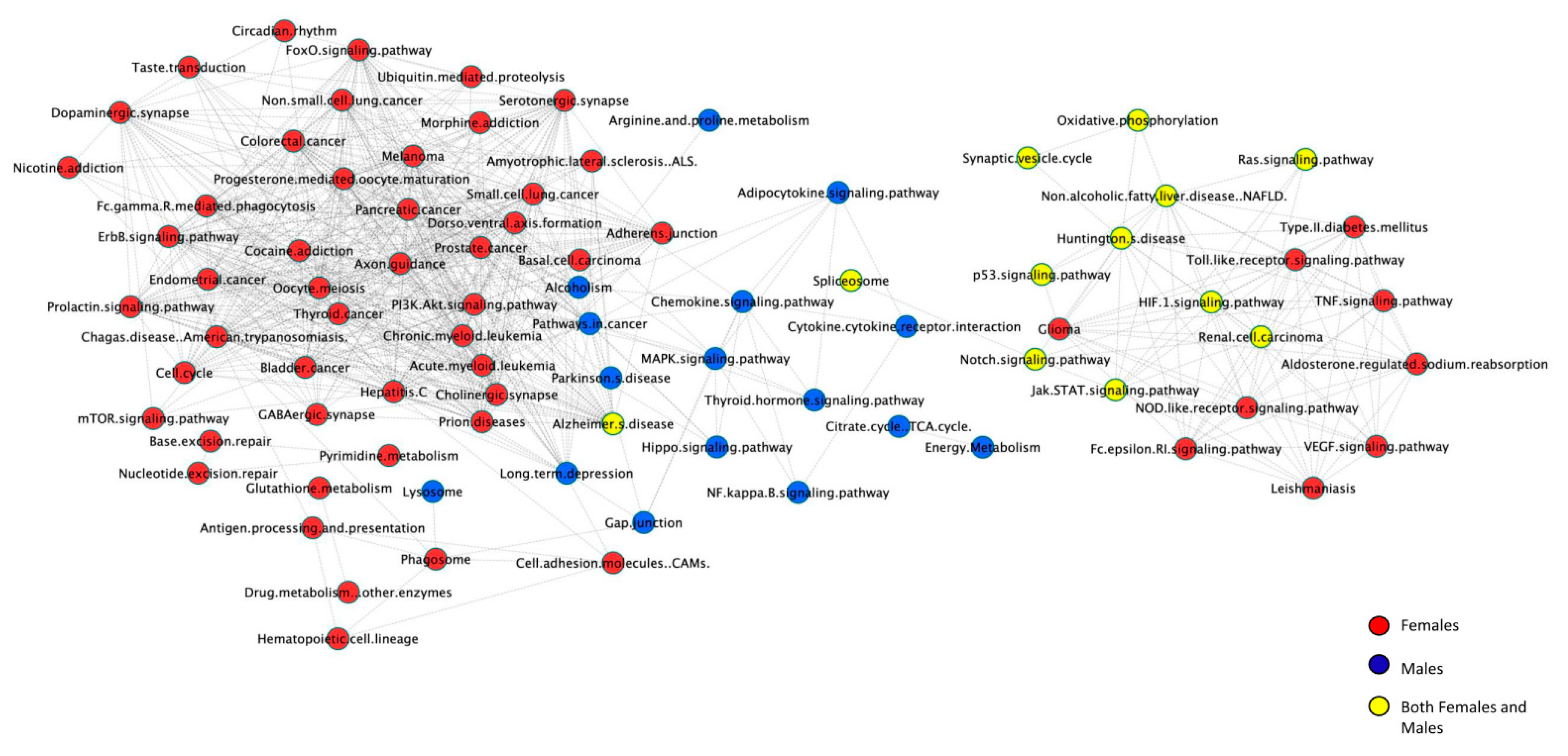 Ijms 21 08146 g006 Ijms 21 08146 g006