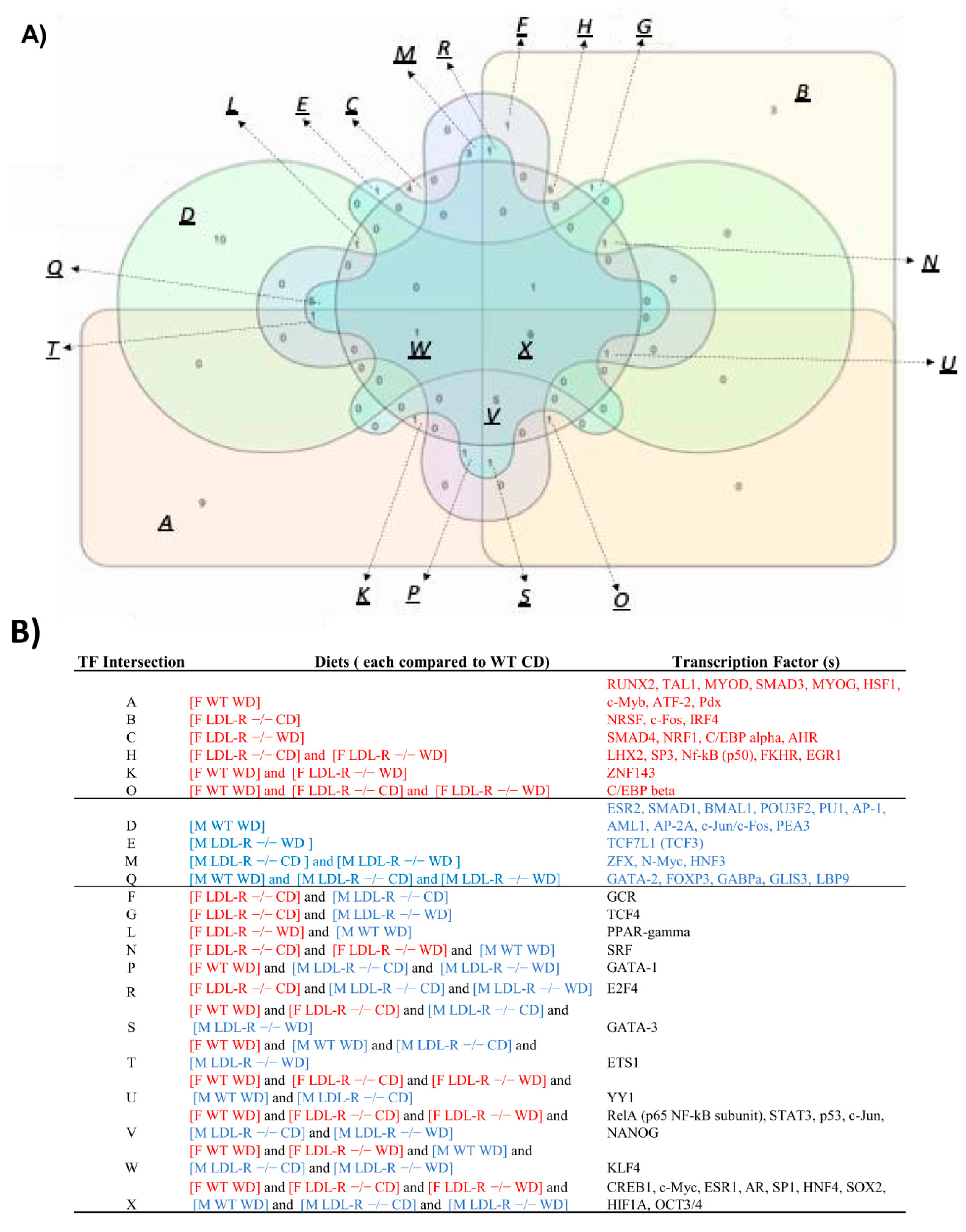 Ijms 21 08146 g009 Ijms 21 08146 g009