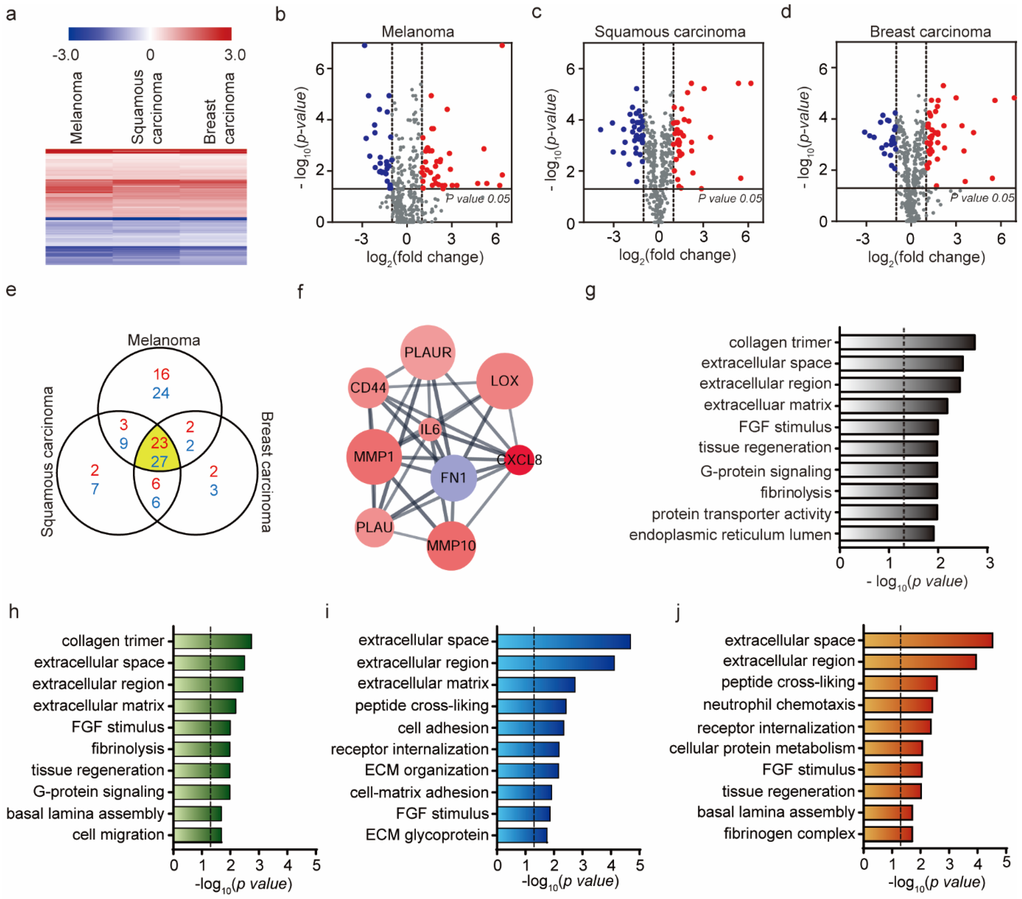 Ijms 21 08153 g002 Ijms 21 08153 g002