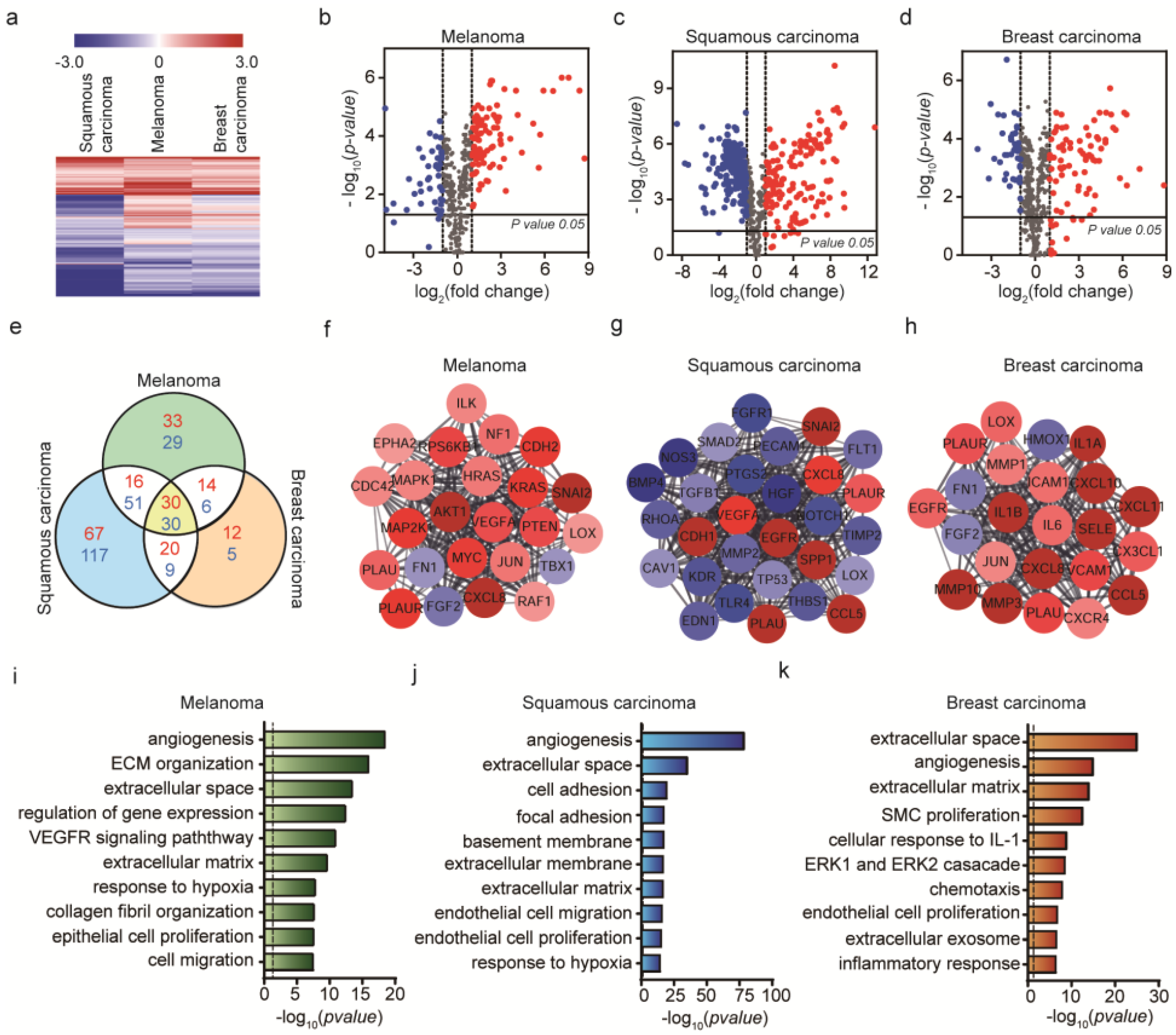 Ijms 21 08153 g003 Ijms 21 08153 g003