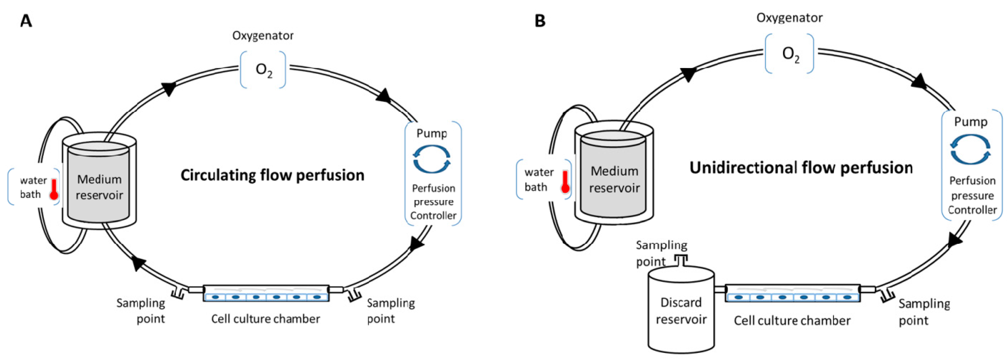 Ijms 21 08156 g001 Ijms 21 08156 g001
