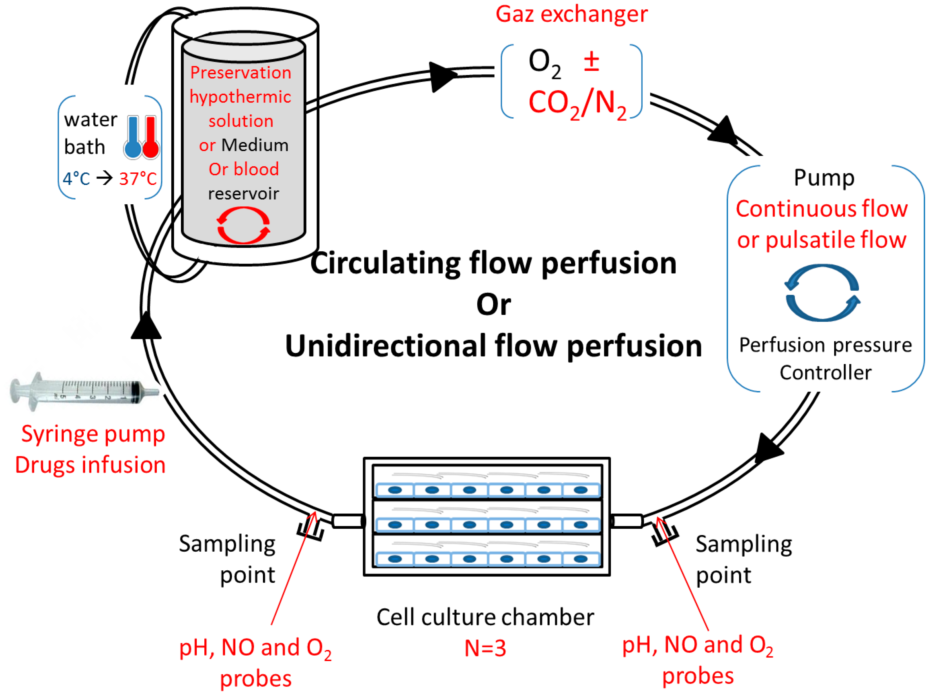 Ijms 21 08156 g002 Ijms 21 08156 g002