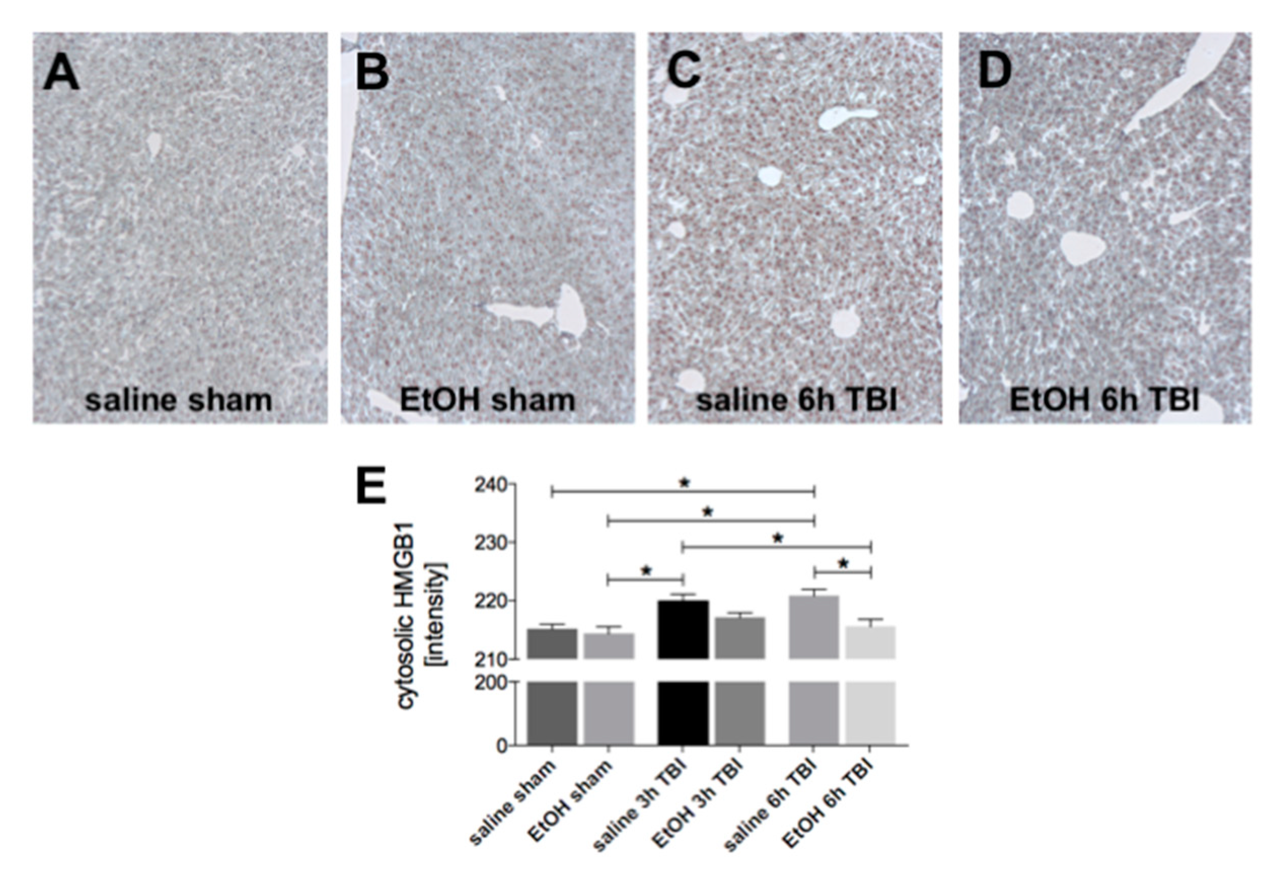 Ijms 21 08181 g003 Ijms 21 08181 g003