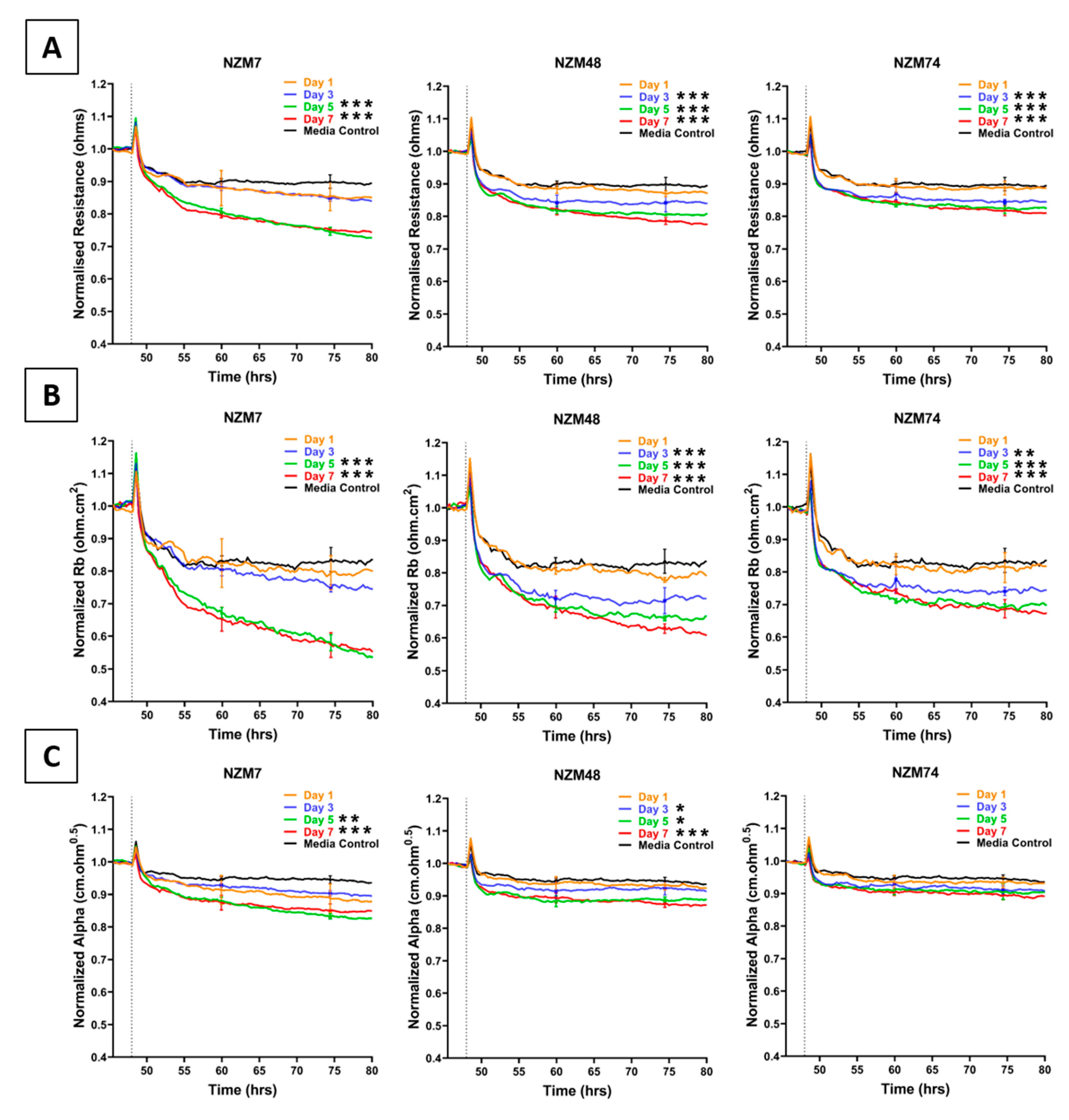 Ijms 21 08193 g001 Ijms 21 08193 g001