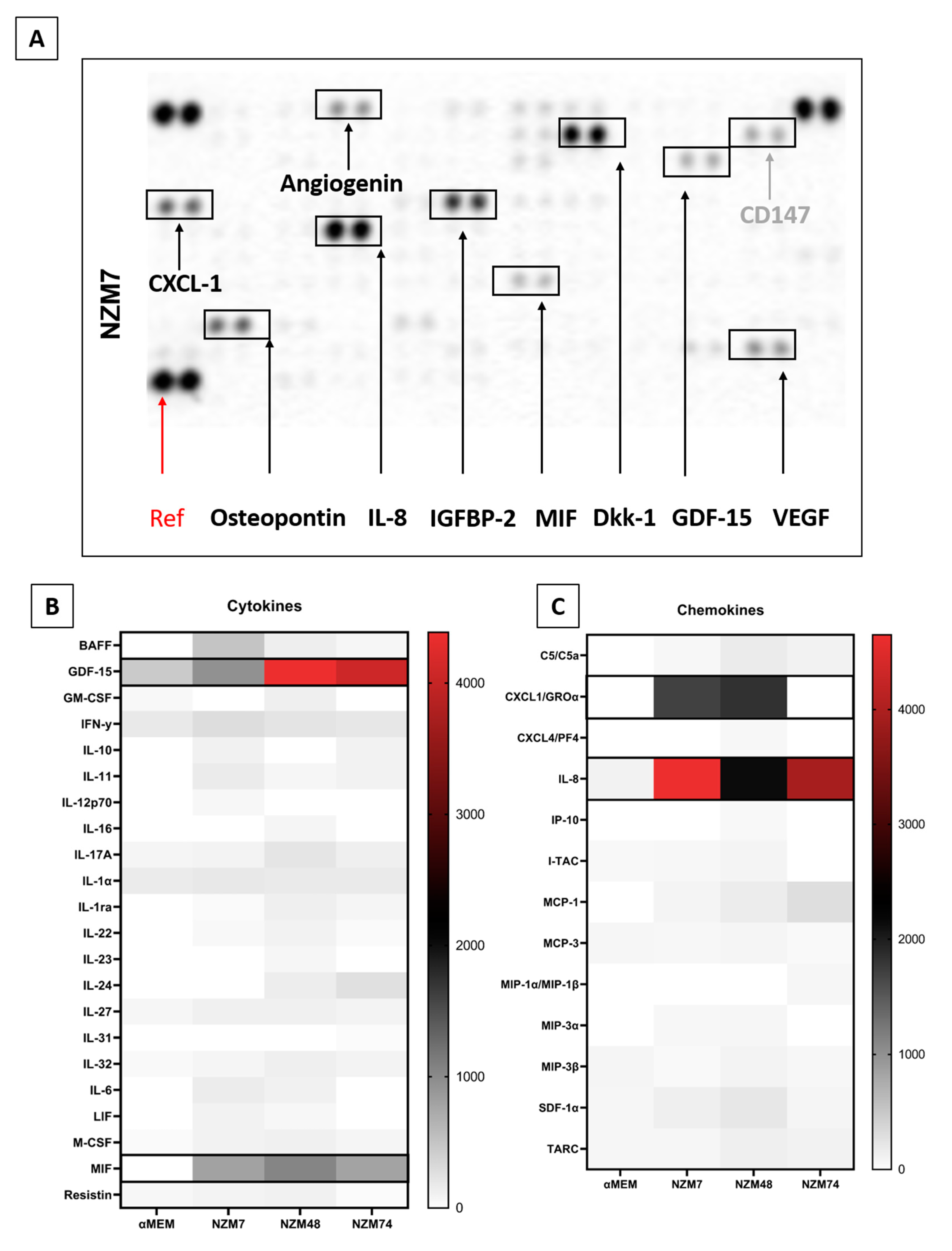 Ijms 21 08193 g004a Ijms 21 08193 g004a