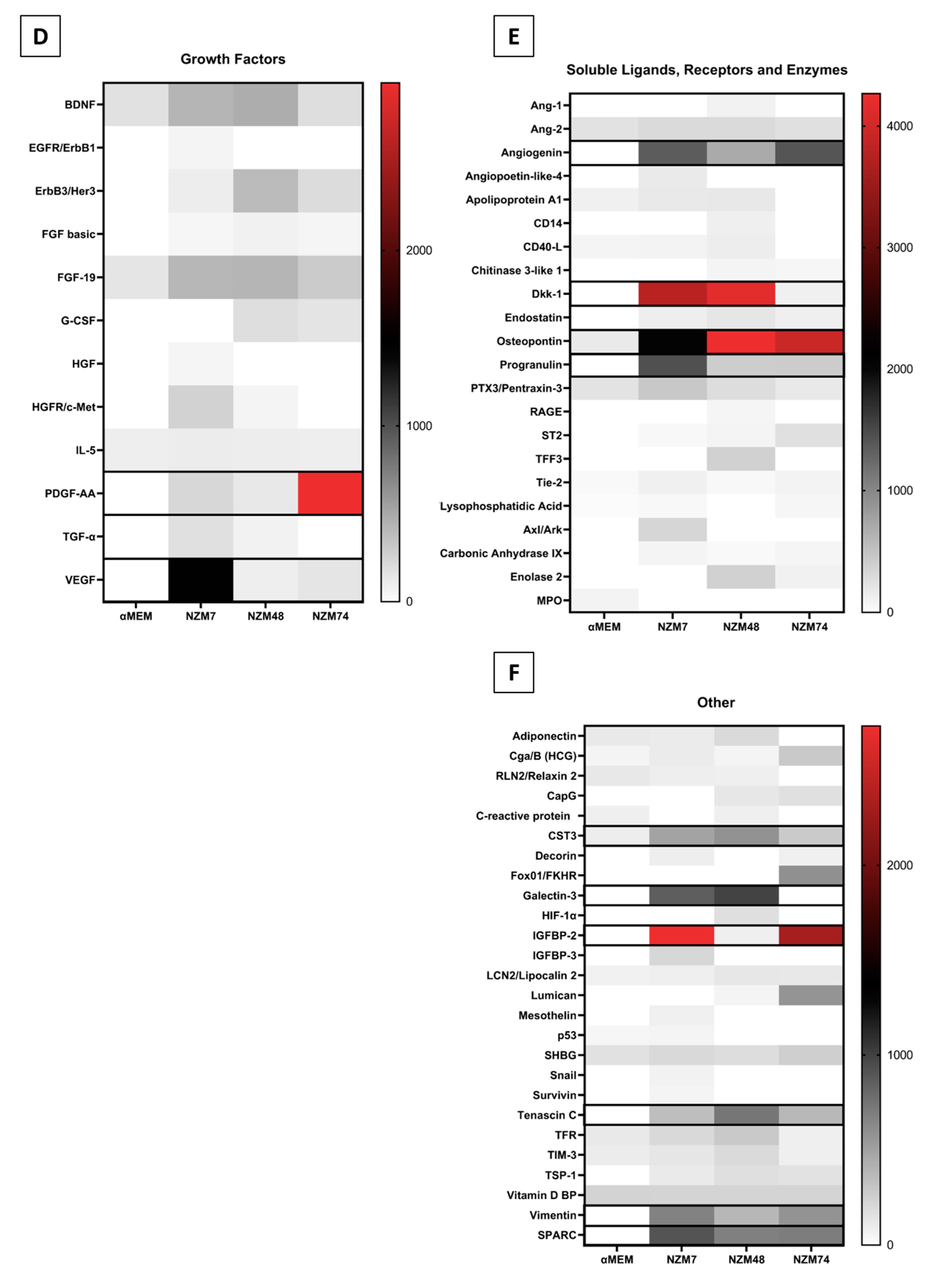 Ijms 21 08193 g004b Ijms 21 08193 g004b