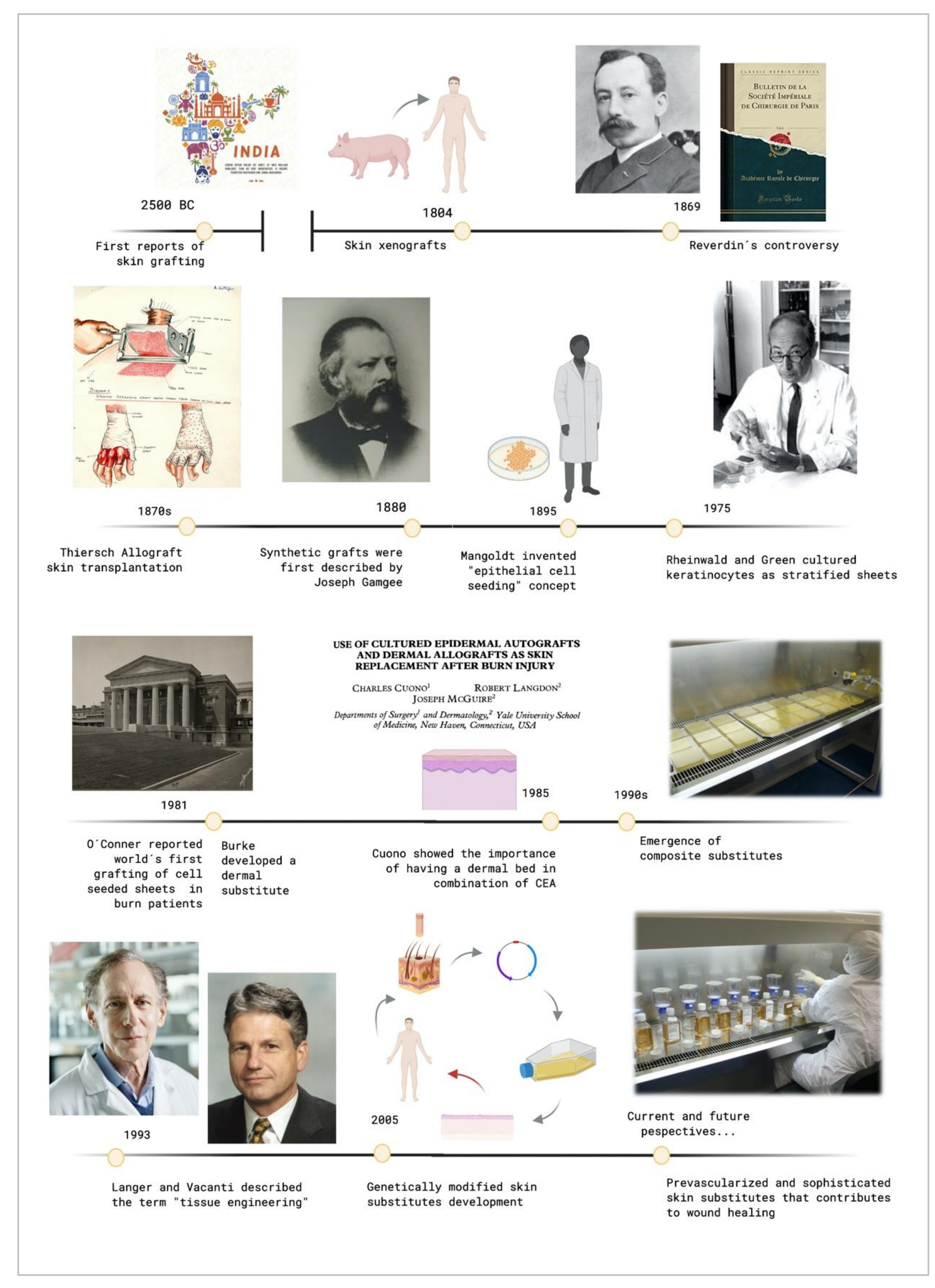 https://www.mdpi.com/ijms/ijms-21-08197/article_deploy/html/images/ijms-21-08197-g001.png