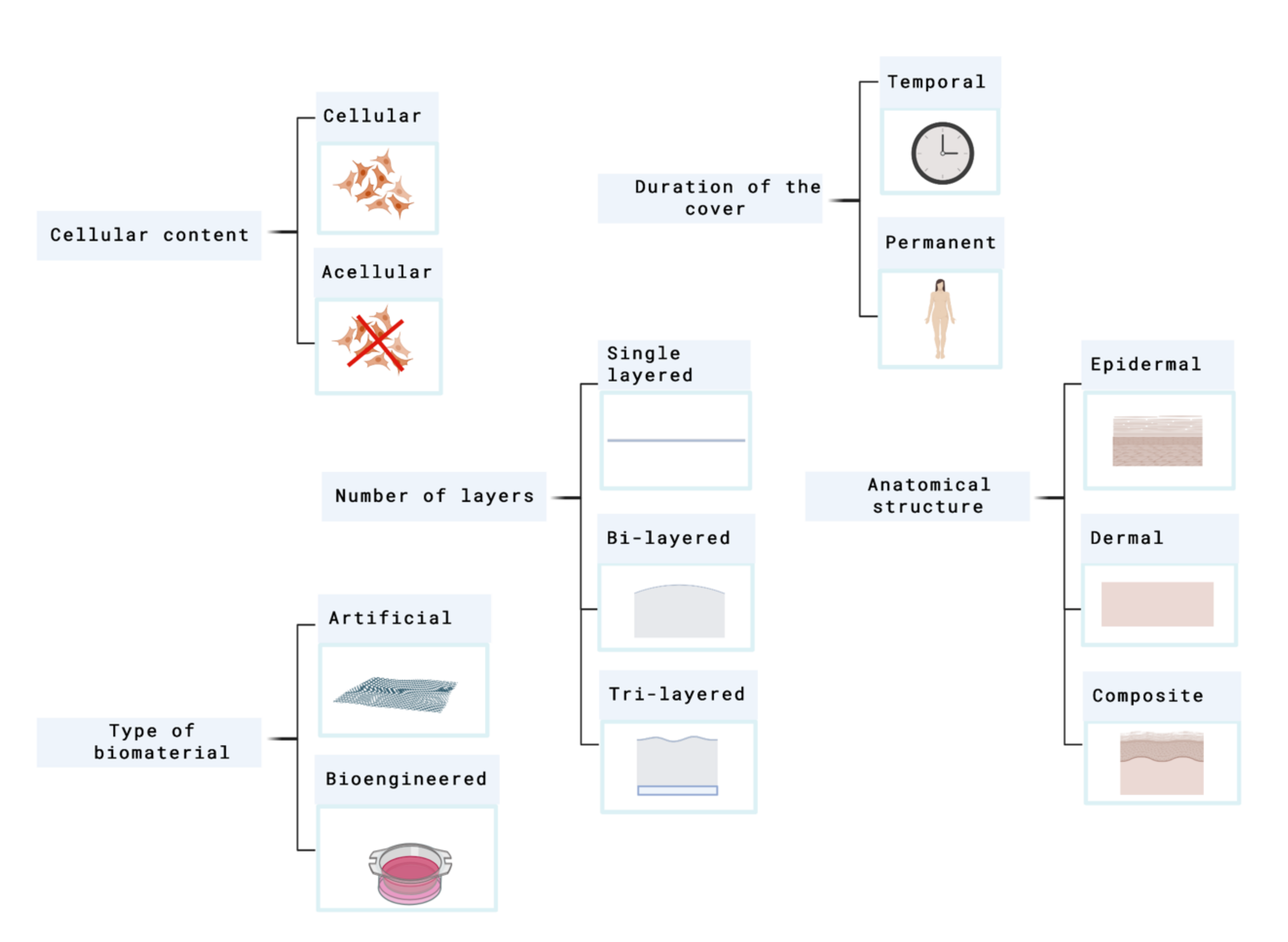 https://www.mdpi.com/ijms/ijms-21-08197/article_deploy/html/images/ijms-21-08197-g002.png