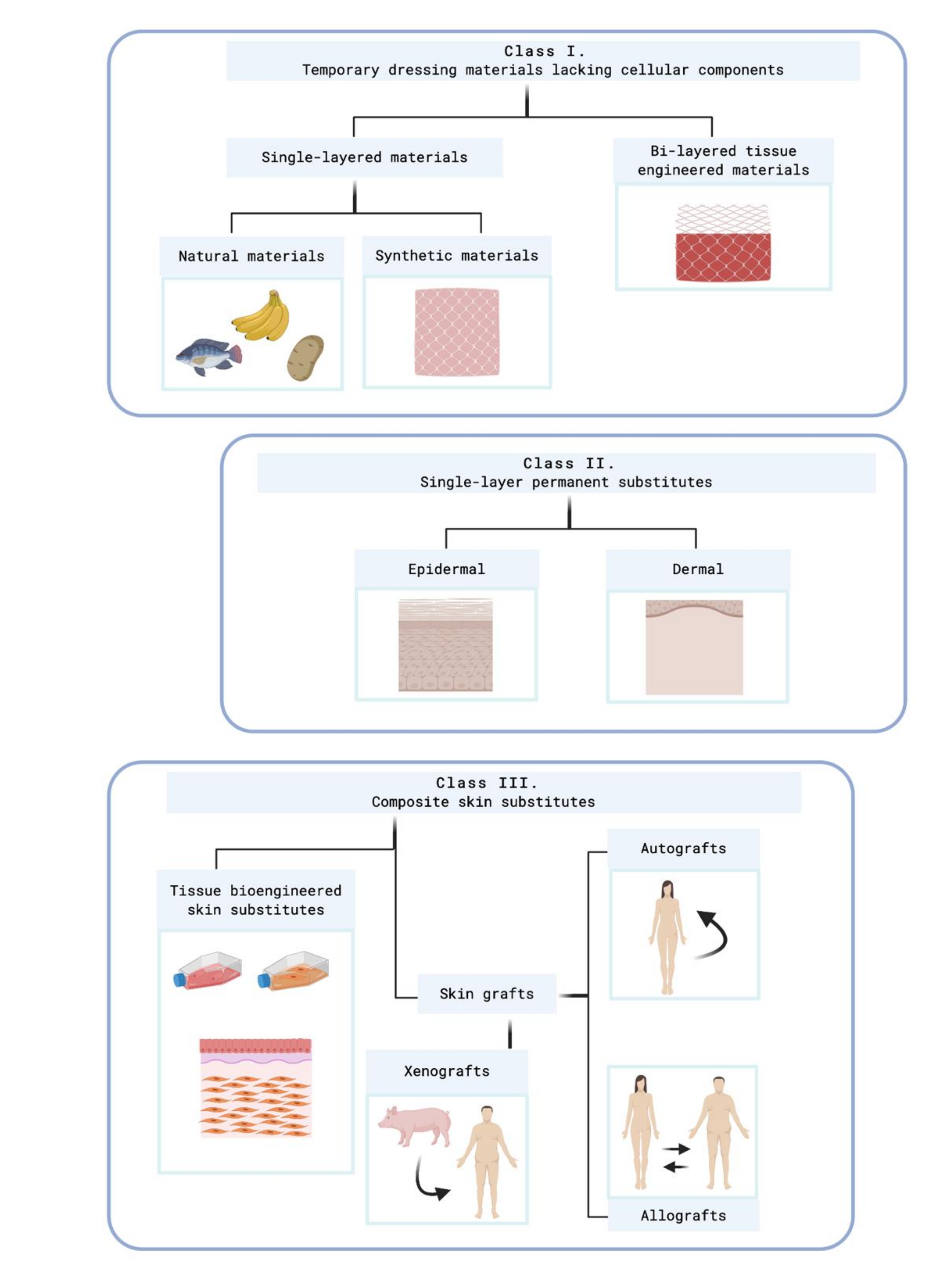 https://www.mdpi.com/ijms/ijms-21-08197/article_deploy/html/images/ijms-21-08197-g003.png