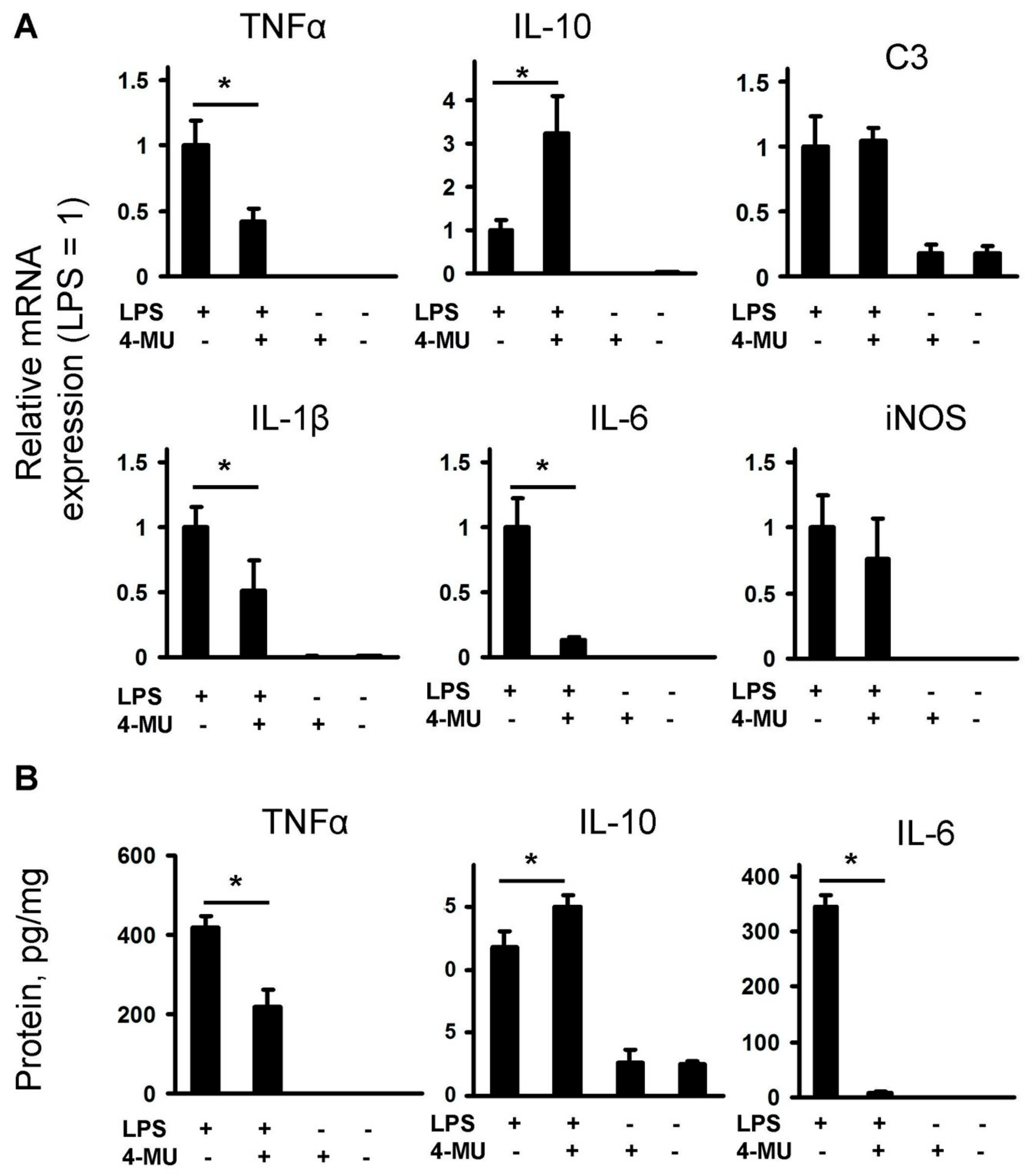 Ijms 21 08203 g001 Ijms 21 08203 g001