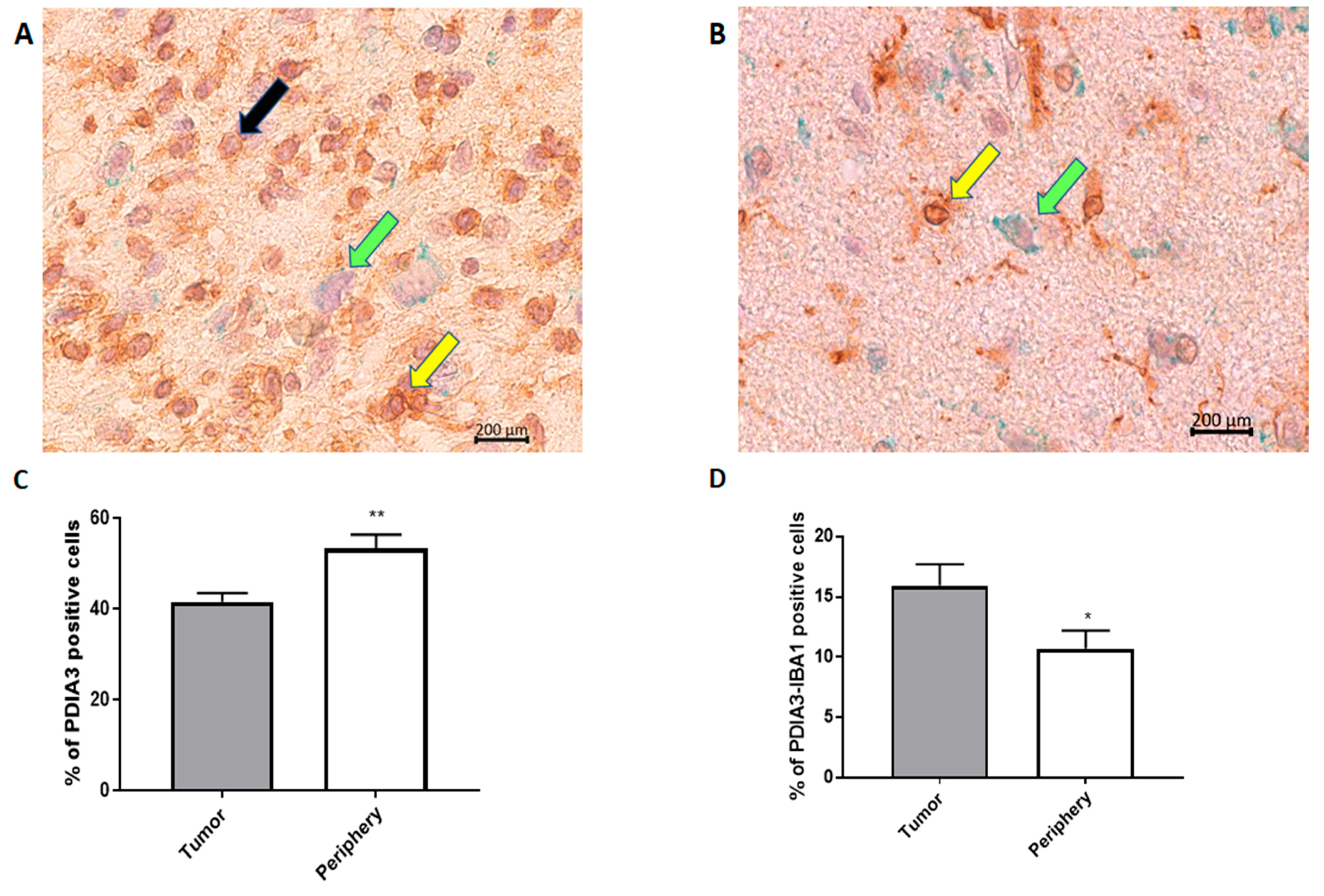 Ijms 21 08214 g002 Ijms 21 08214 g002