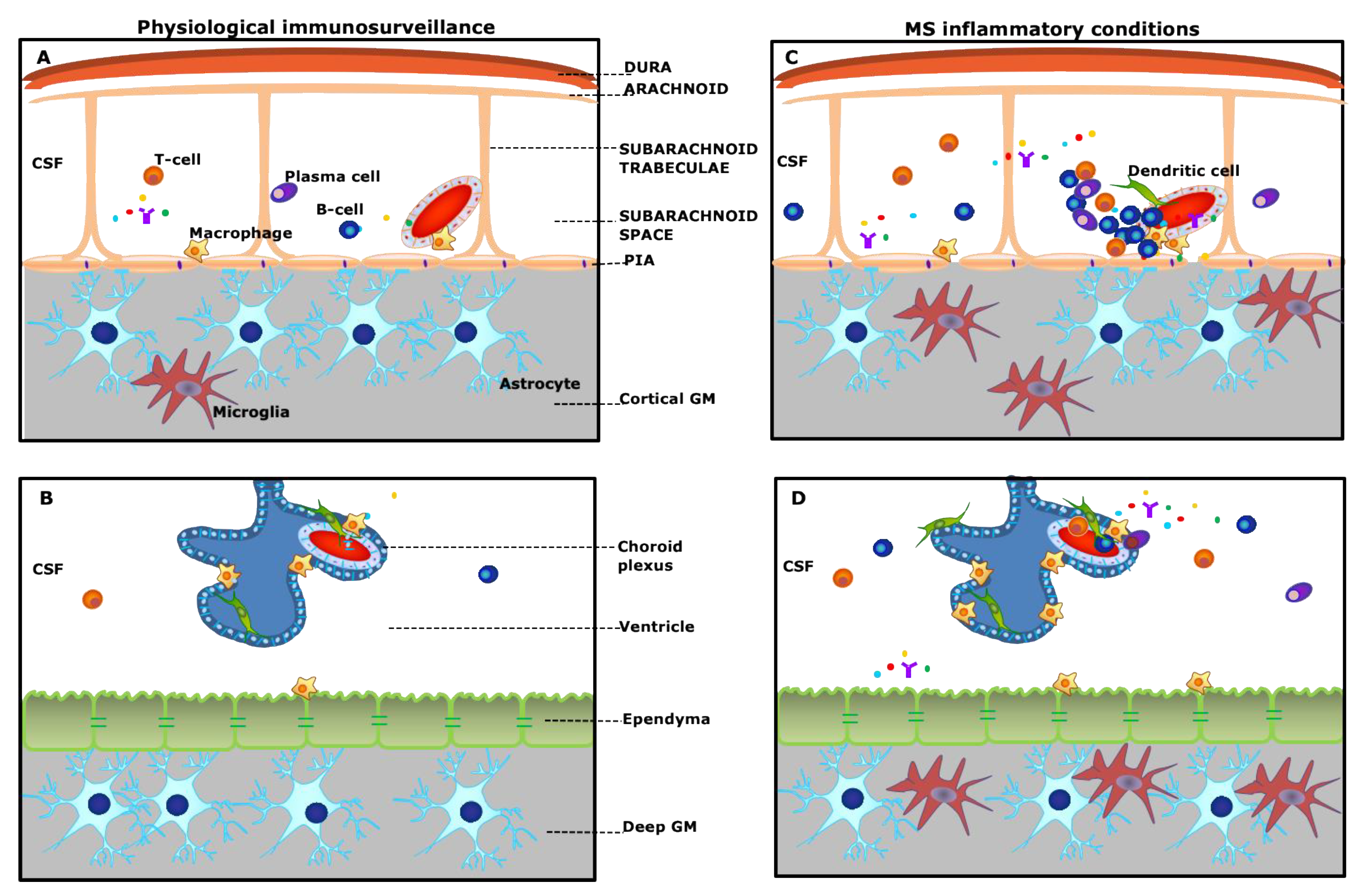 Ijms 21 08217 g001 Ijms 21 08217 g001