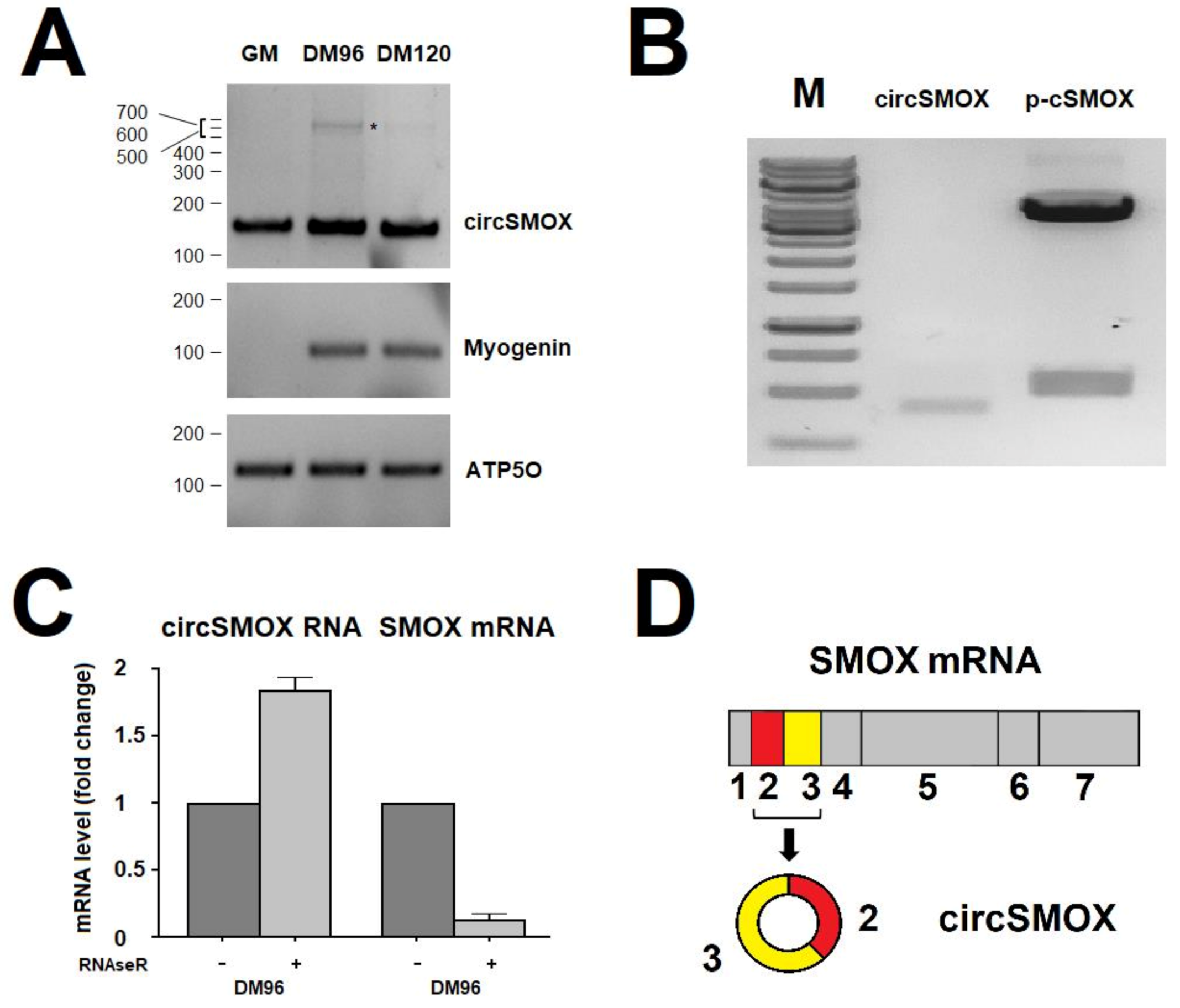 Ijms 21 08227 g001 Ijms 21 08227 g001