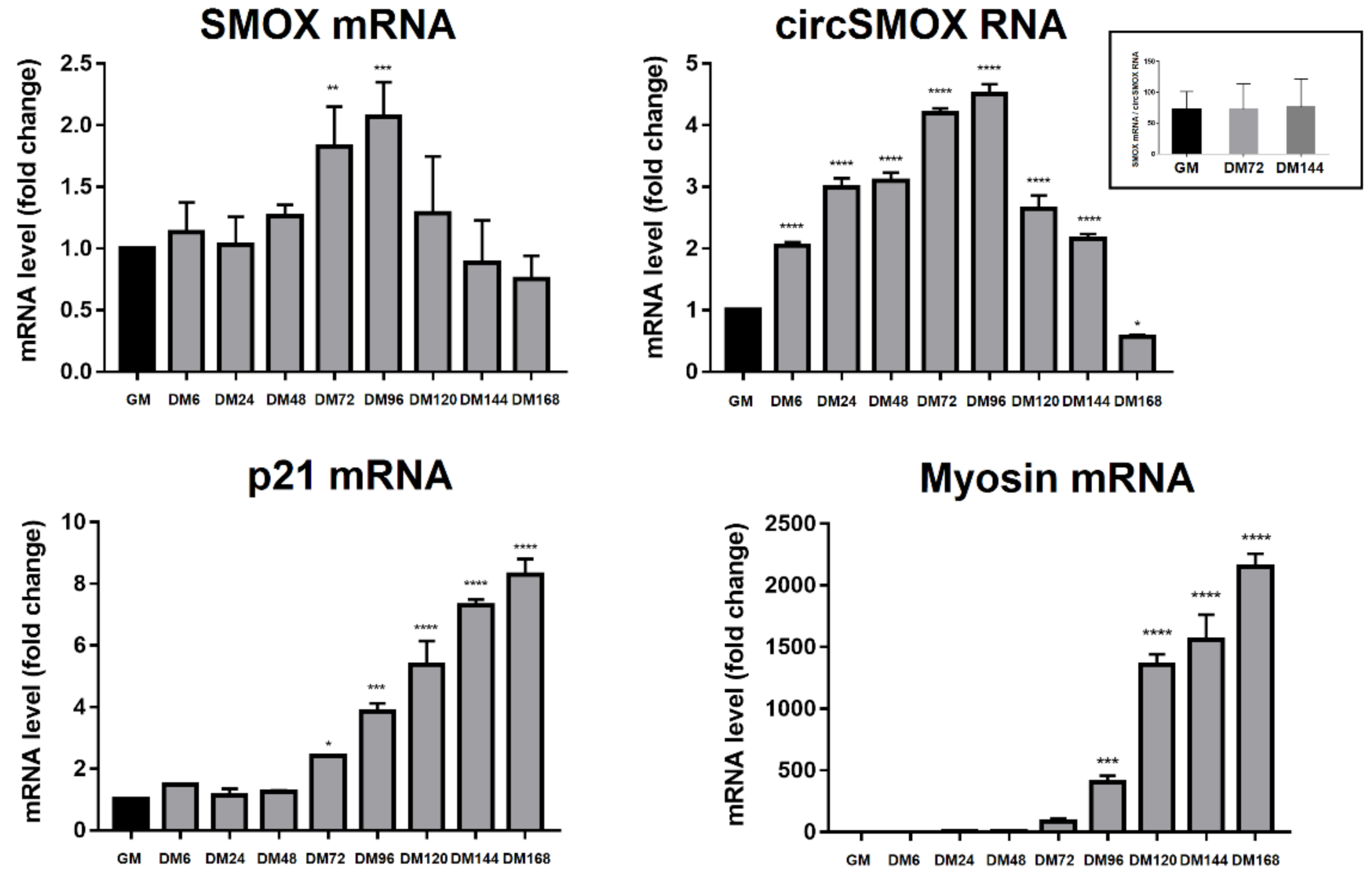 Ijms 21 08227 g002 Ijms 21 08227 g002