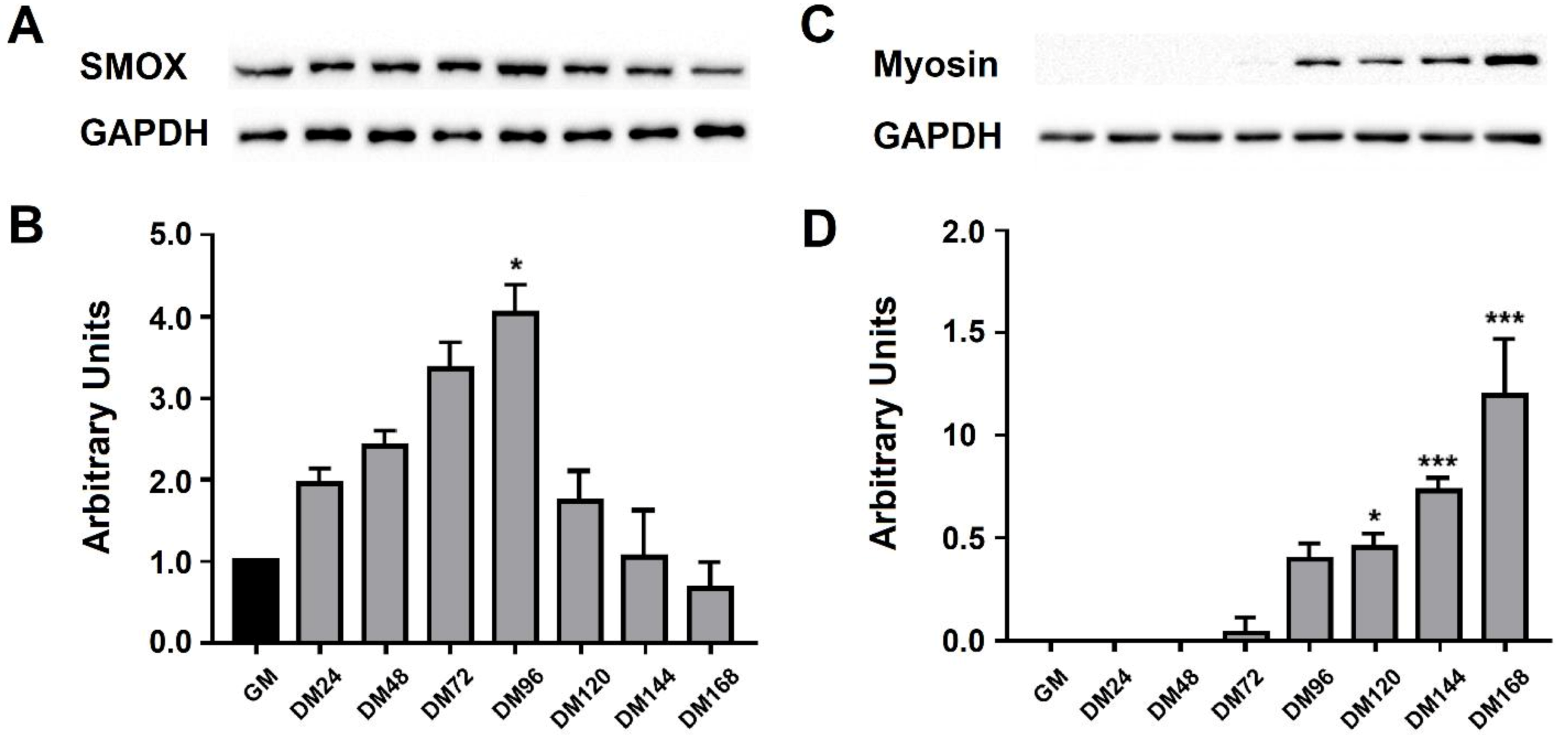 Ijms 21 08227 g003 Ijms 21 08227 g003