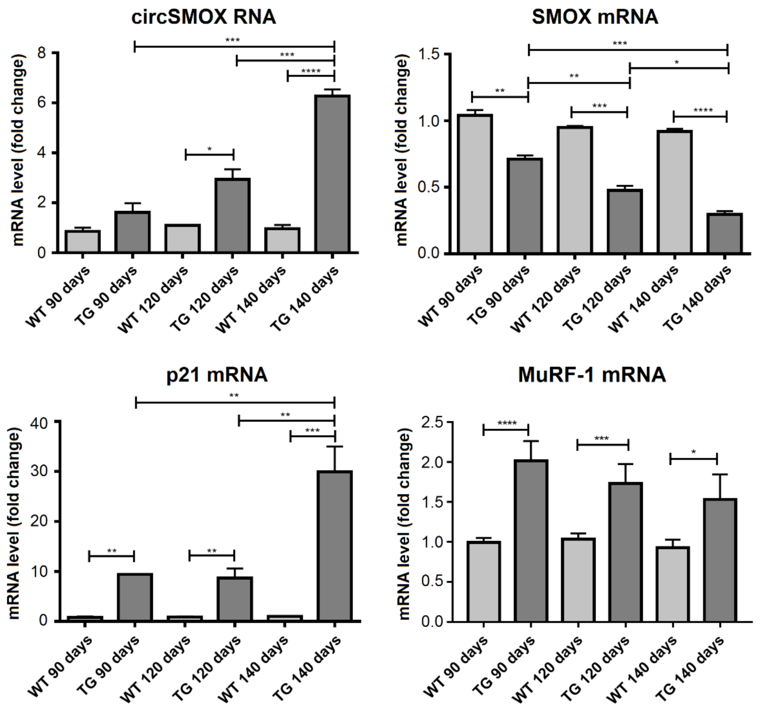 Ijms 21 08227 g008 Ijms 21 08227 g008