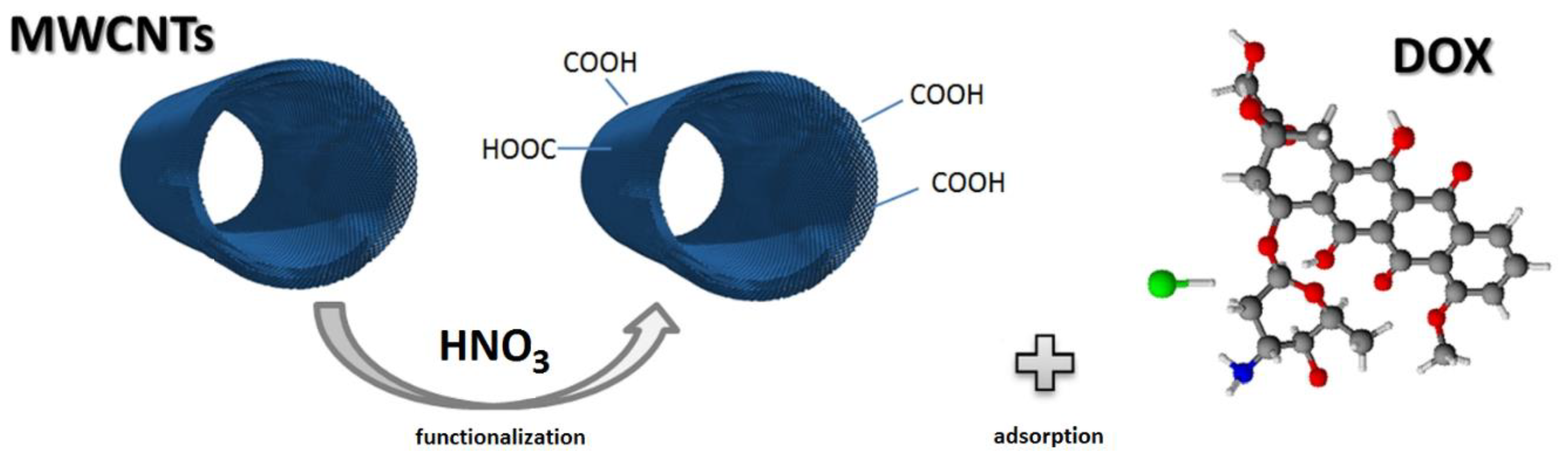 Ijms 21 08230 g012 Ijms 21 08230 g012