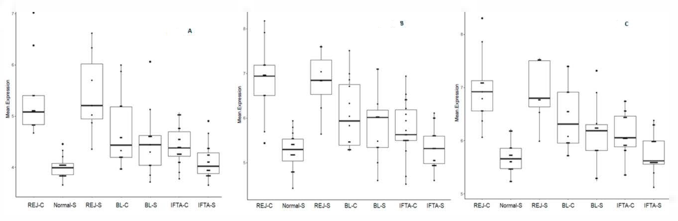 Ijms 21 08237 g003 Ijms 21 08237 g003