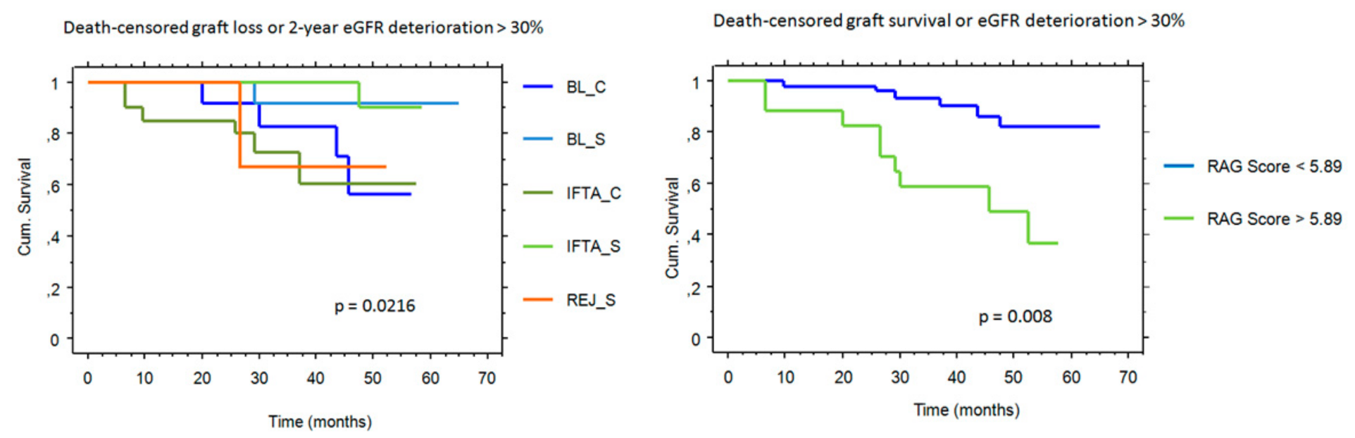 Ijms 21 08237 g005 Ijms 21 08237 g005
