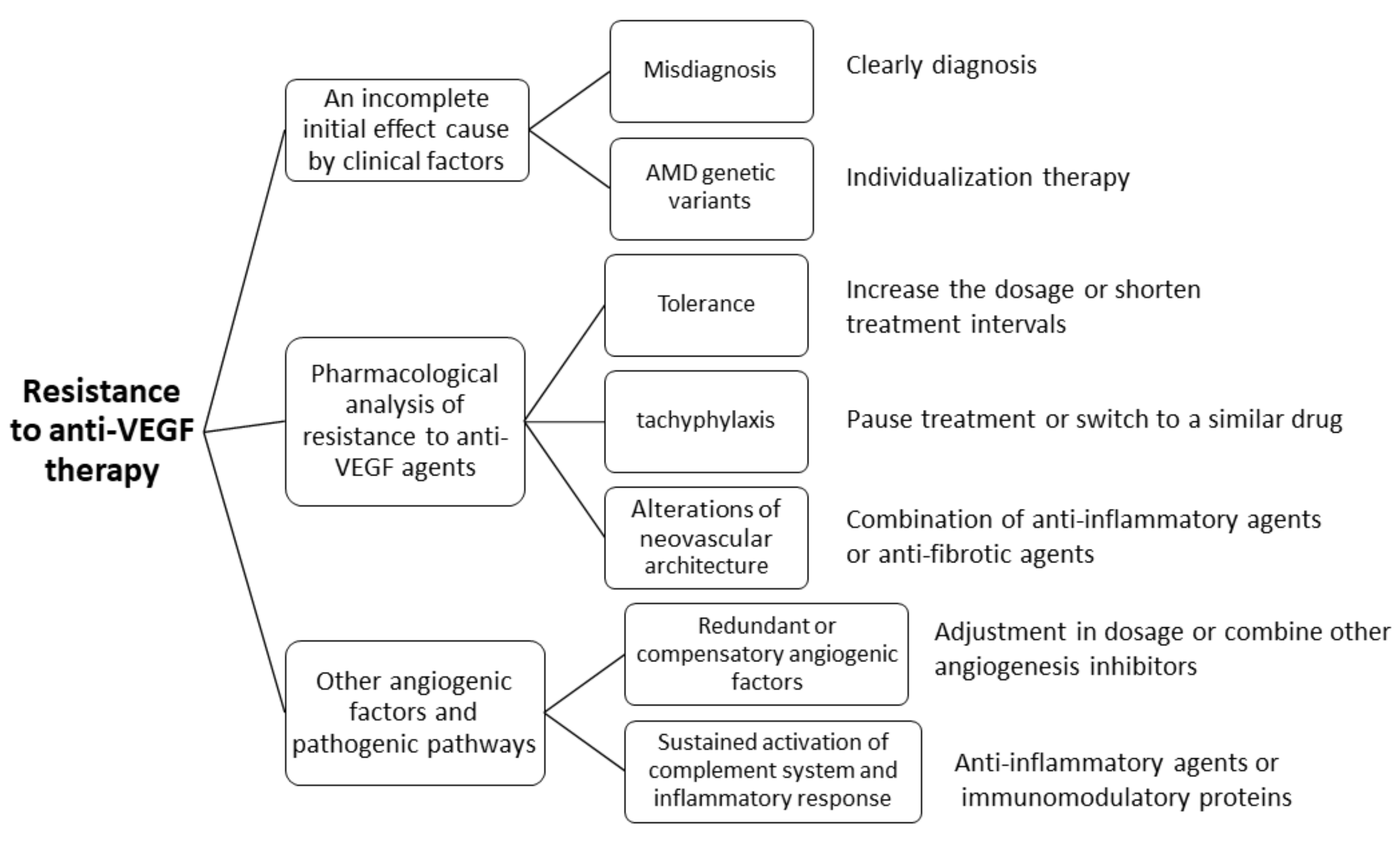 Neovascular Age-Related Macular Degeneration: Therapeutic