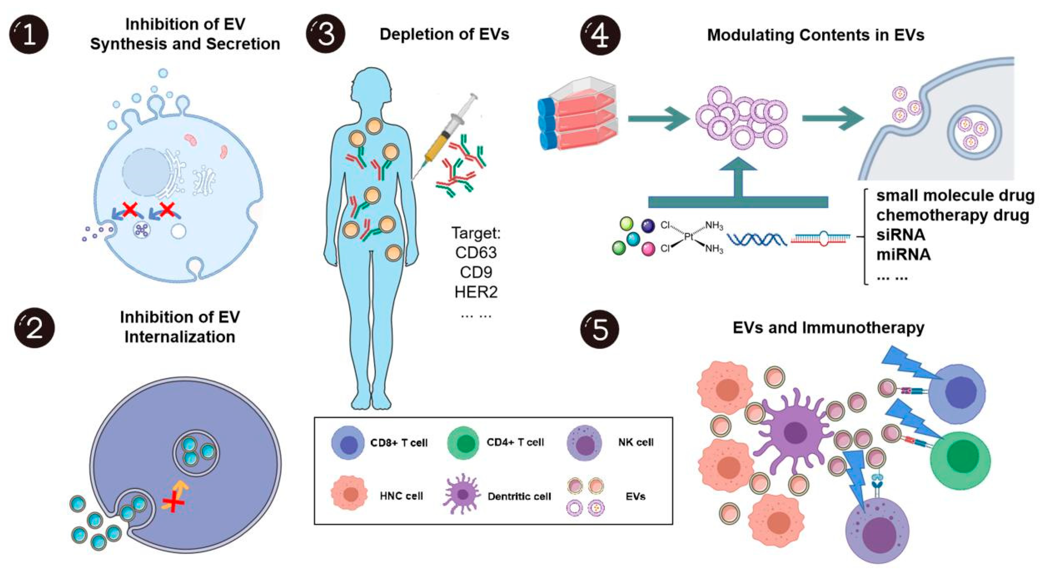 Ijms 21 08260 g005 Ijms 21 08260 g005