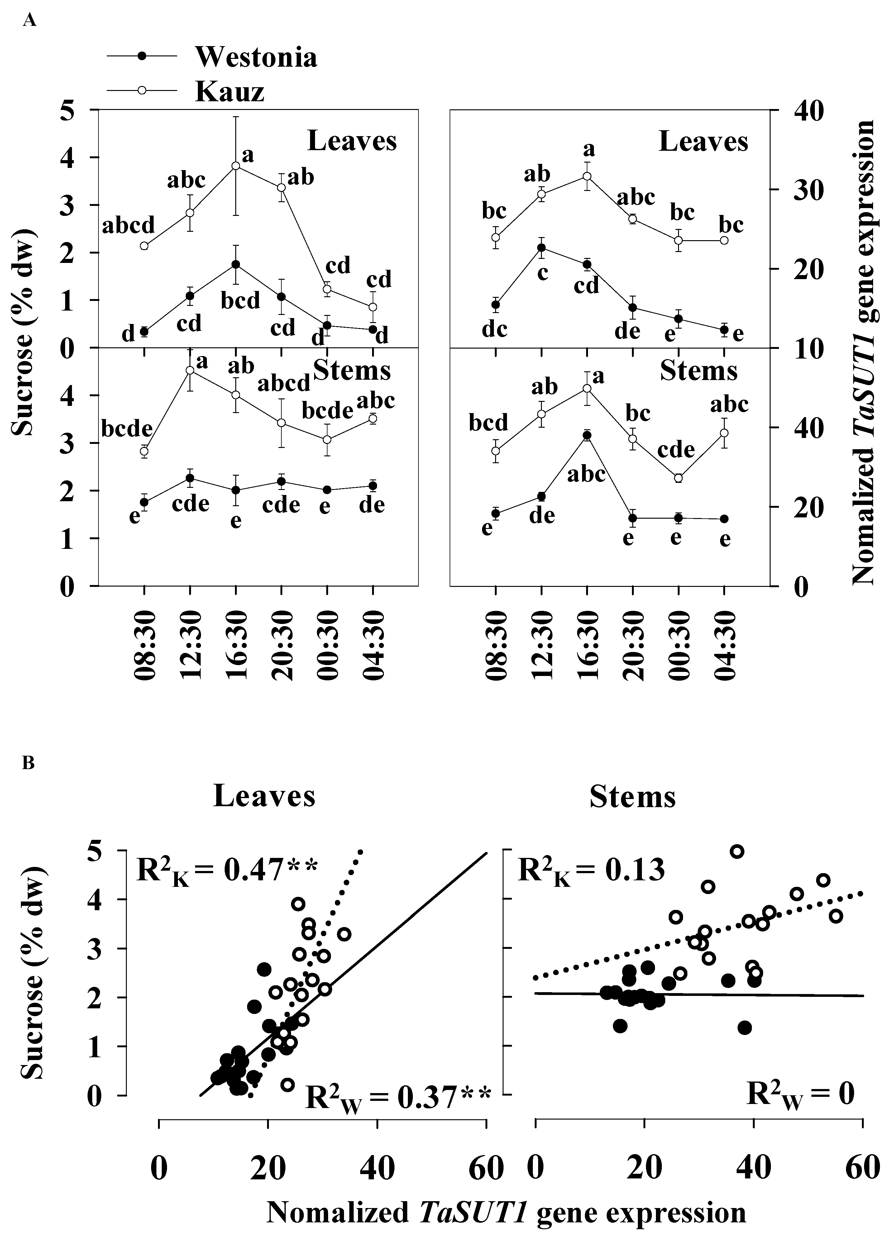Ijms 21 08276 g008 Ijms 21 08276 g008