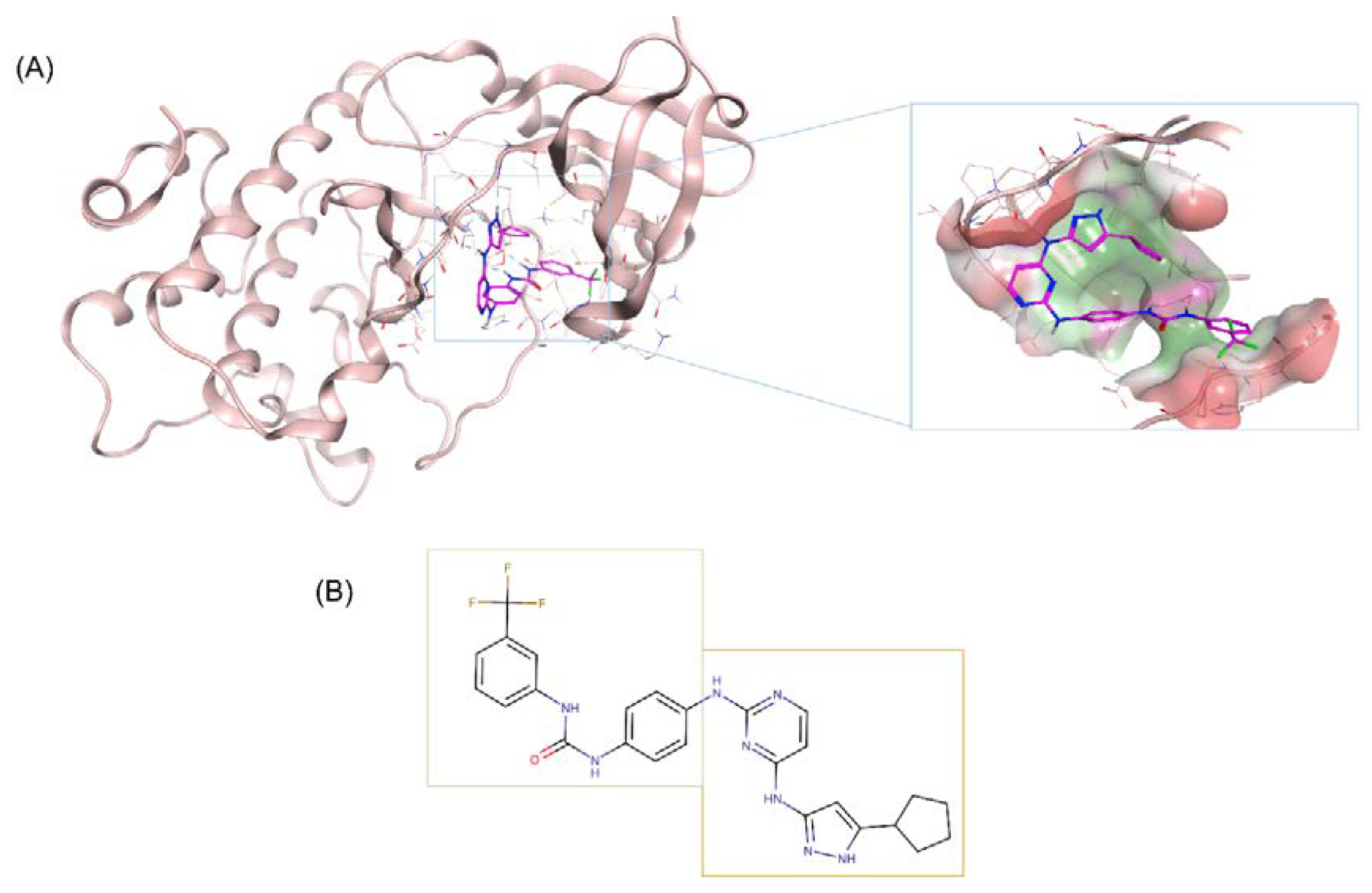Ijms 21 08277 g002 Ijms 21 08277 g002