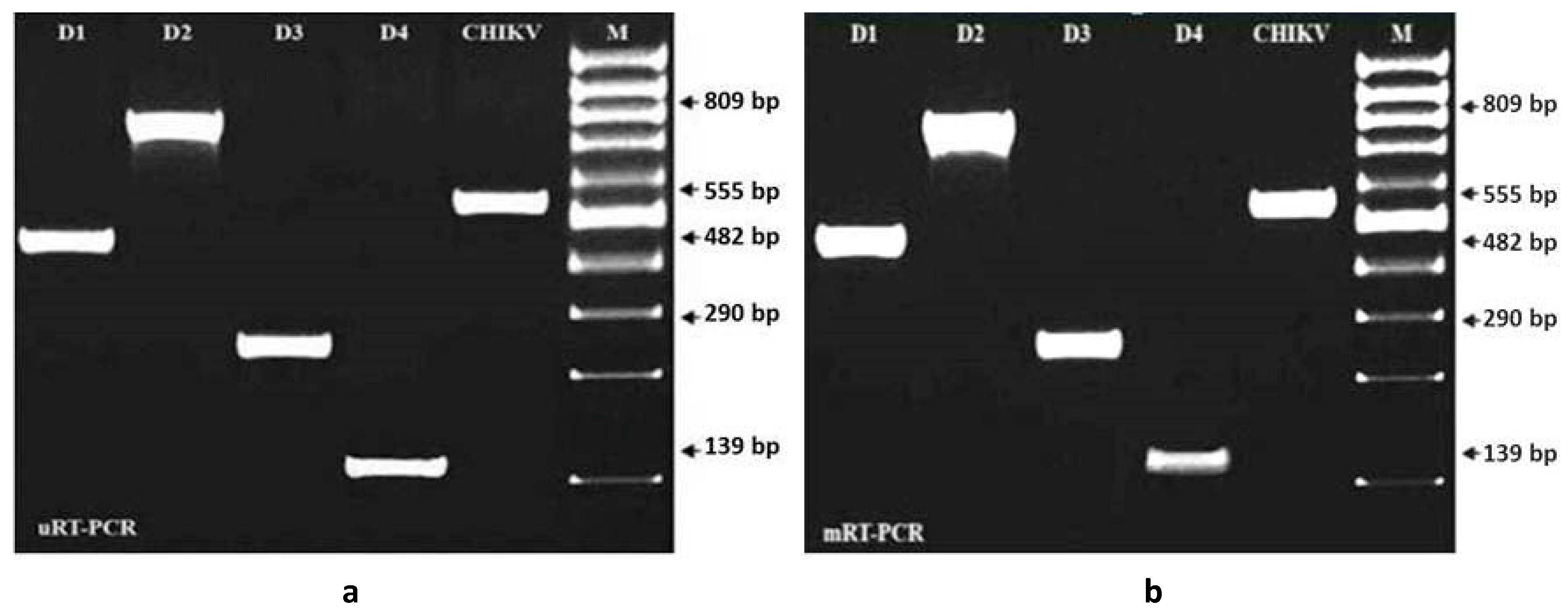 Ijms 21 08281 g001 Ijms 21 08281 g001