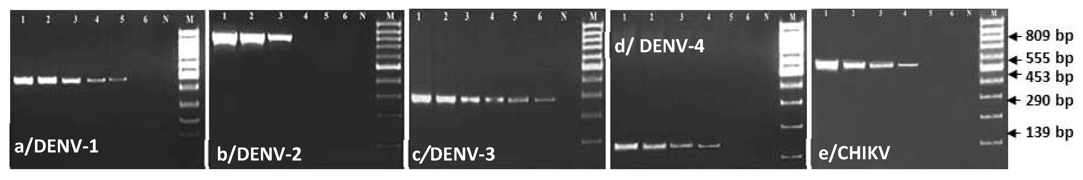 Ijms 21 08281 g003 Ijms 21 08281 g003