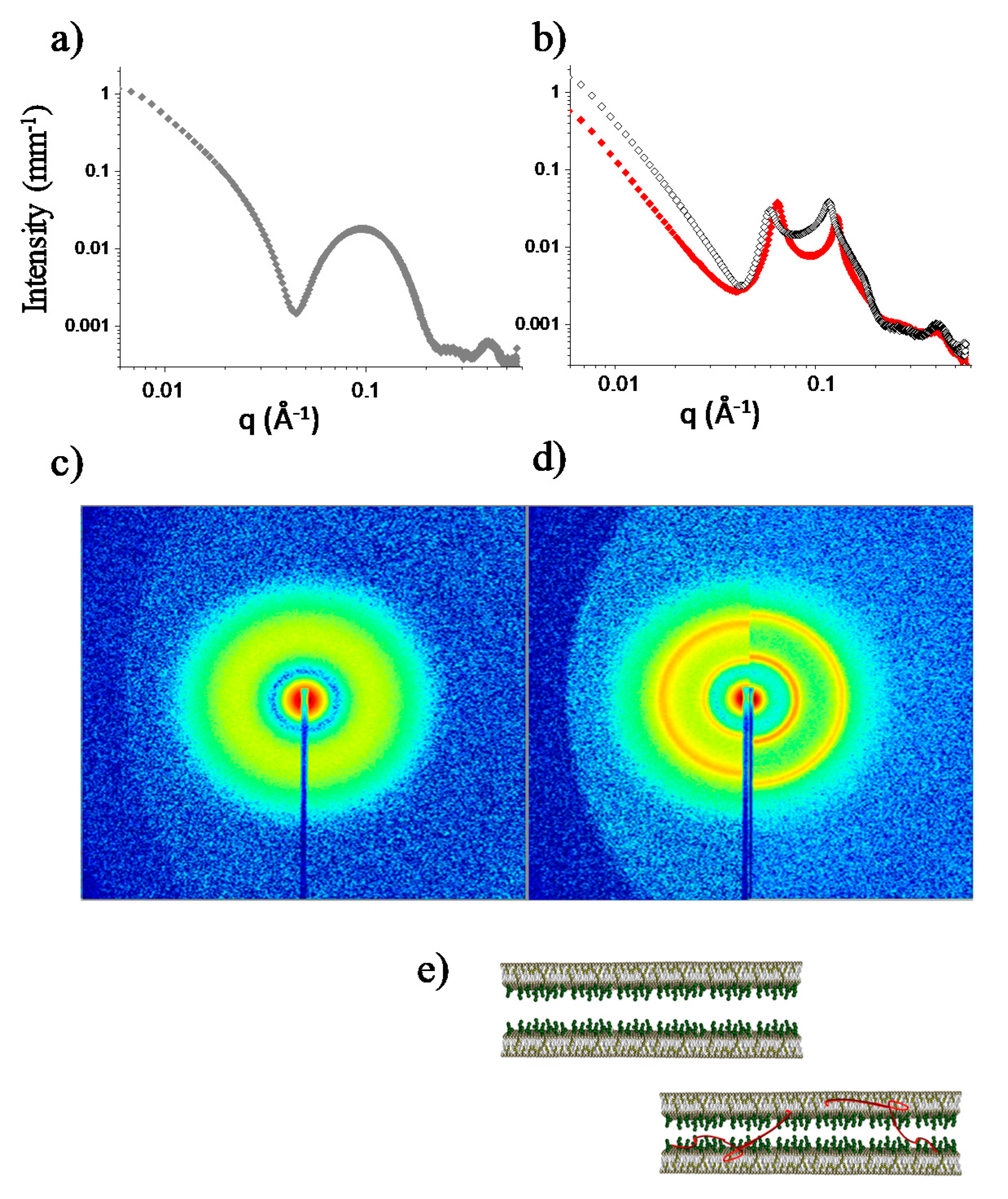 Ijms Free Full Text Ab Beyond The Ad Pathology Exploring The Structural Response Of Membranes Exposed To Nascent Ab Peptide Html