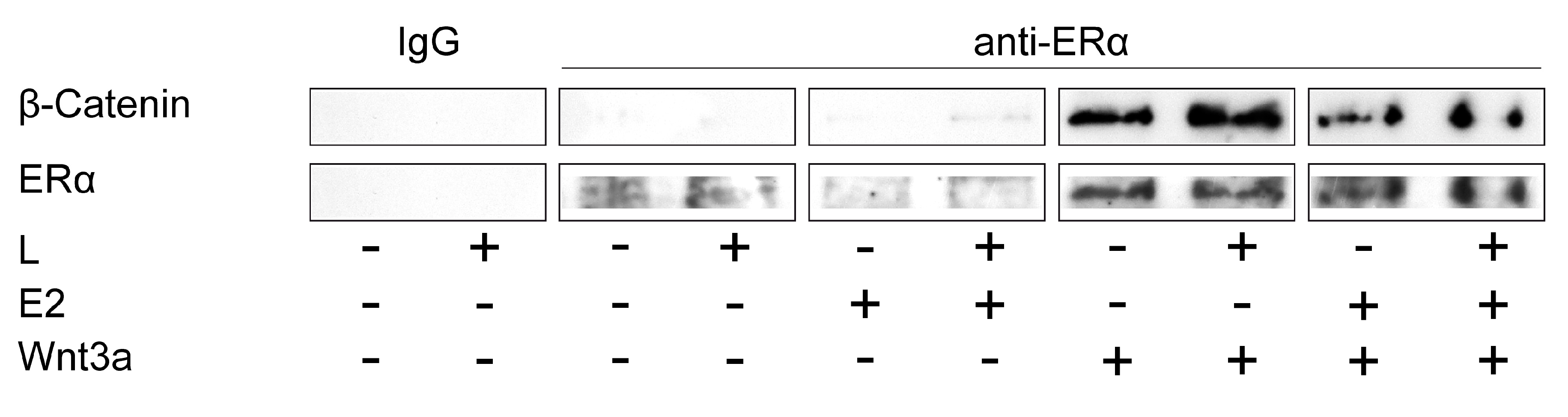 Ijms 21 08301 g002 Ijms 21 08301 g002