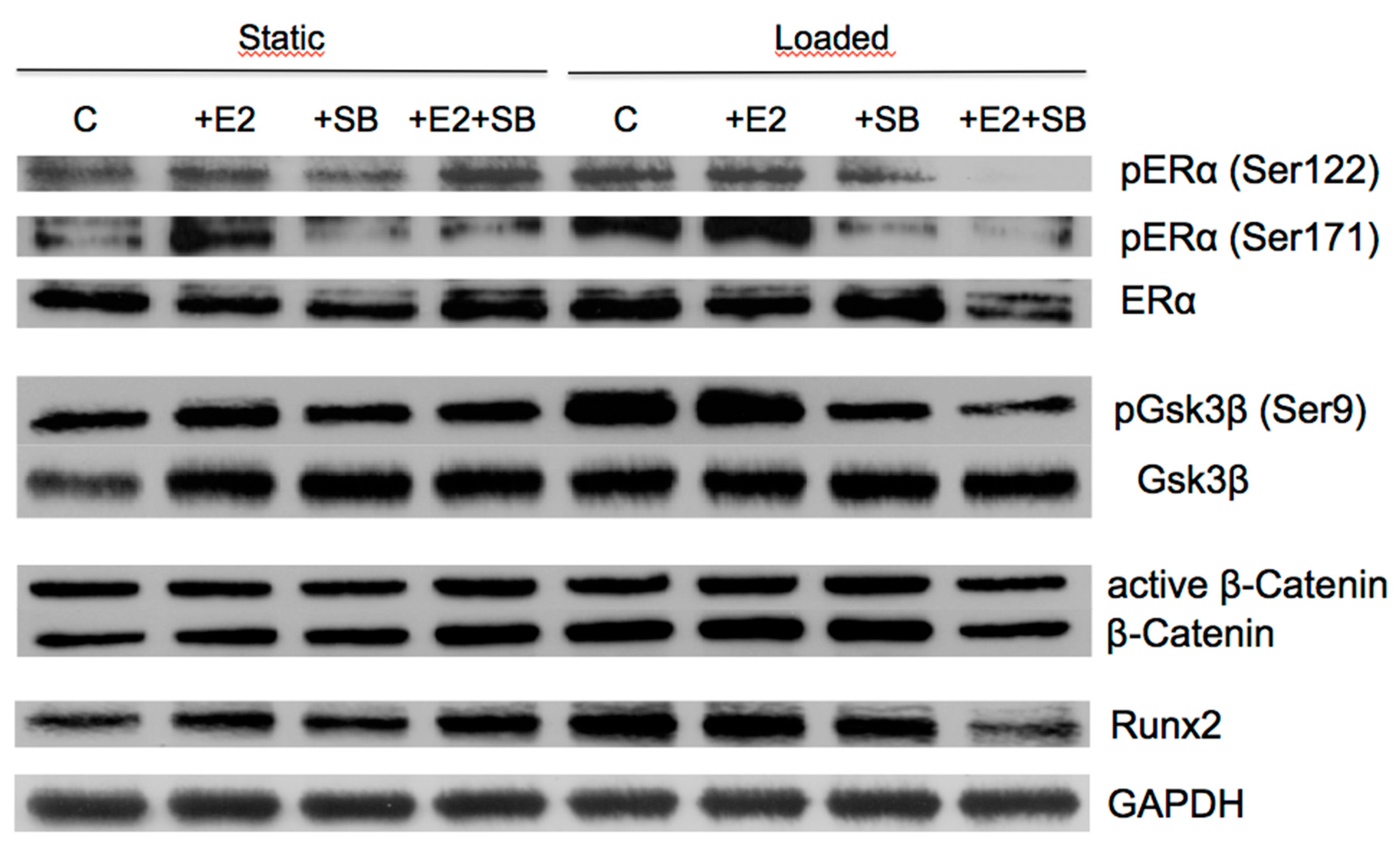 Ijms 21 08301 g003 Ijms 21 08301 g003