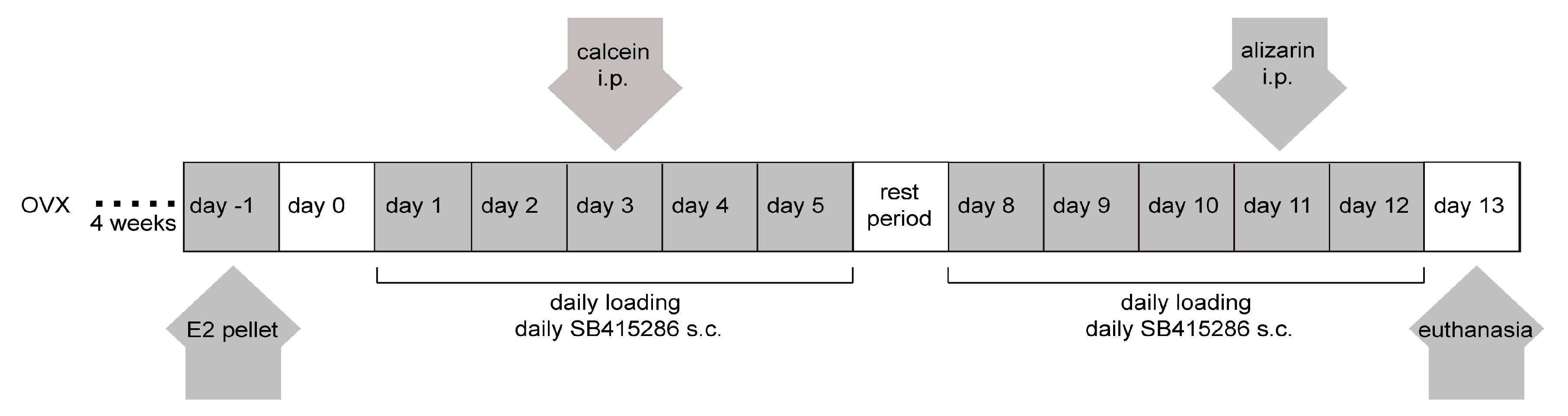 Ijms 21 08301 sch001 Ijms 21 08301 sch001