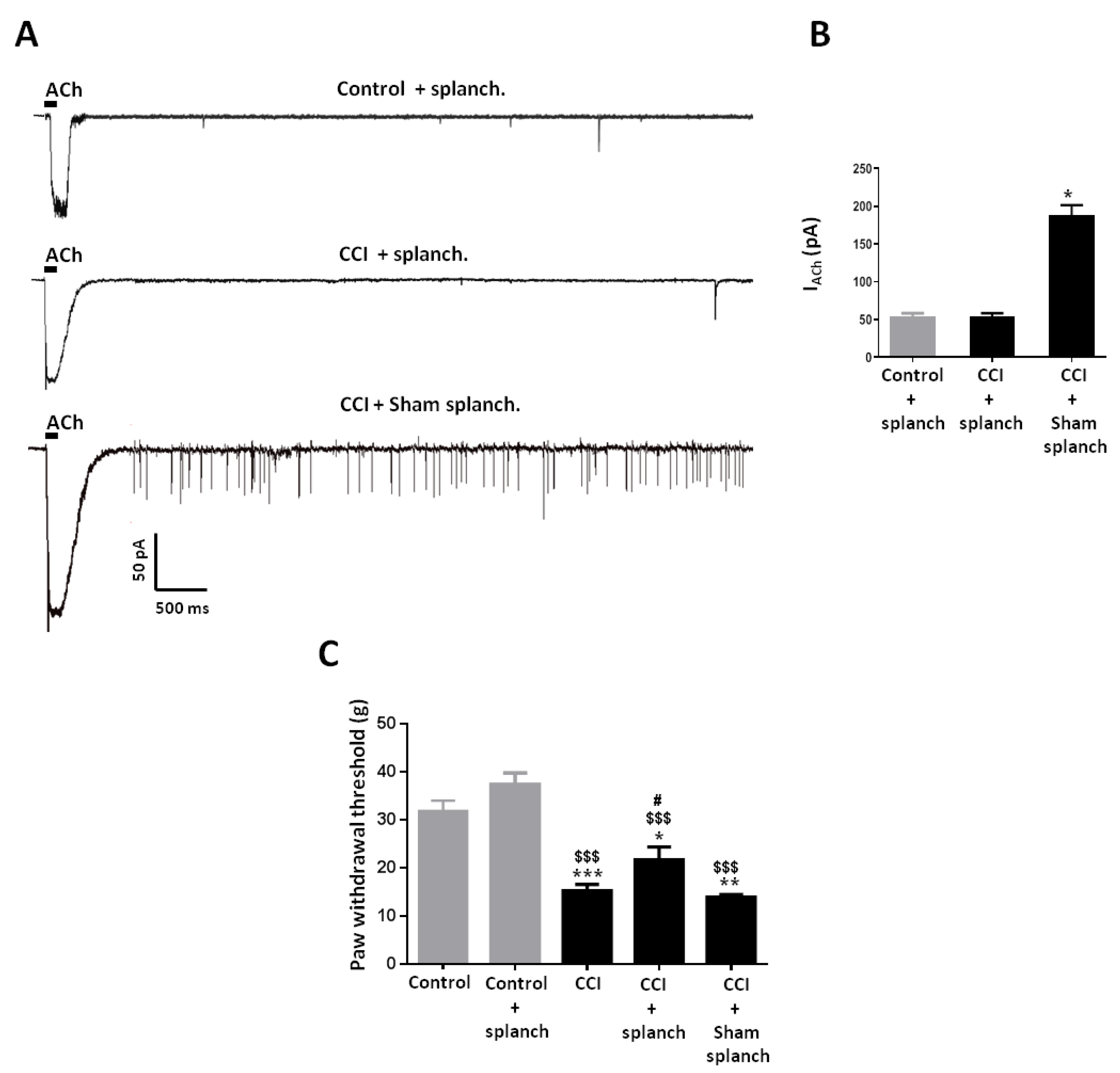 Ijms 21 08325 g006 Ijms 21 08325 g006