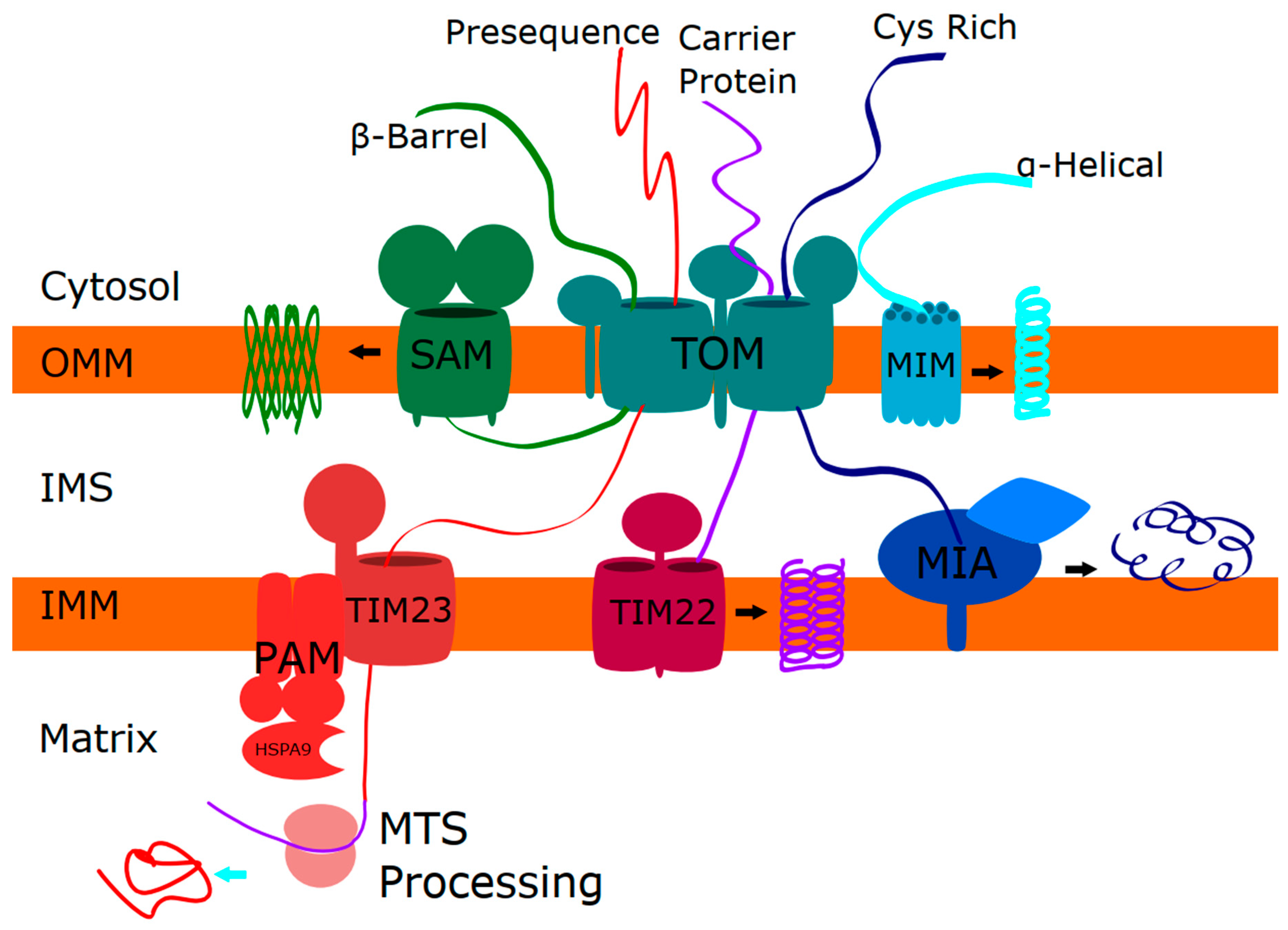 Ijms 21 08327 g001 Ijms 21 08327 g001
