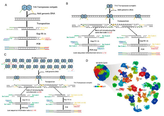Ijms Free Full Text Tn5 Transposase Applied In Genomics Research Html