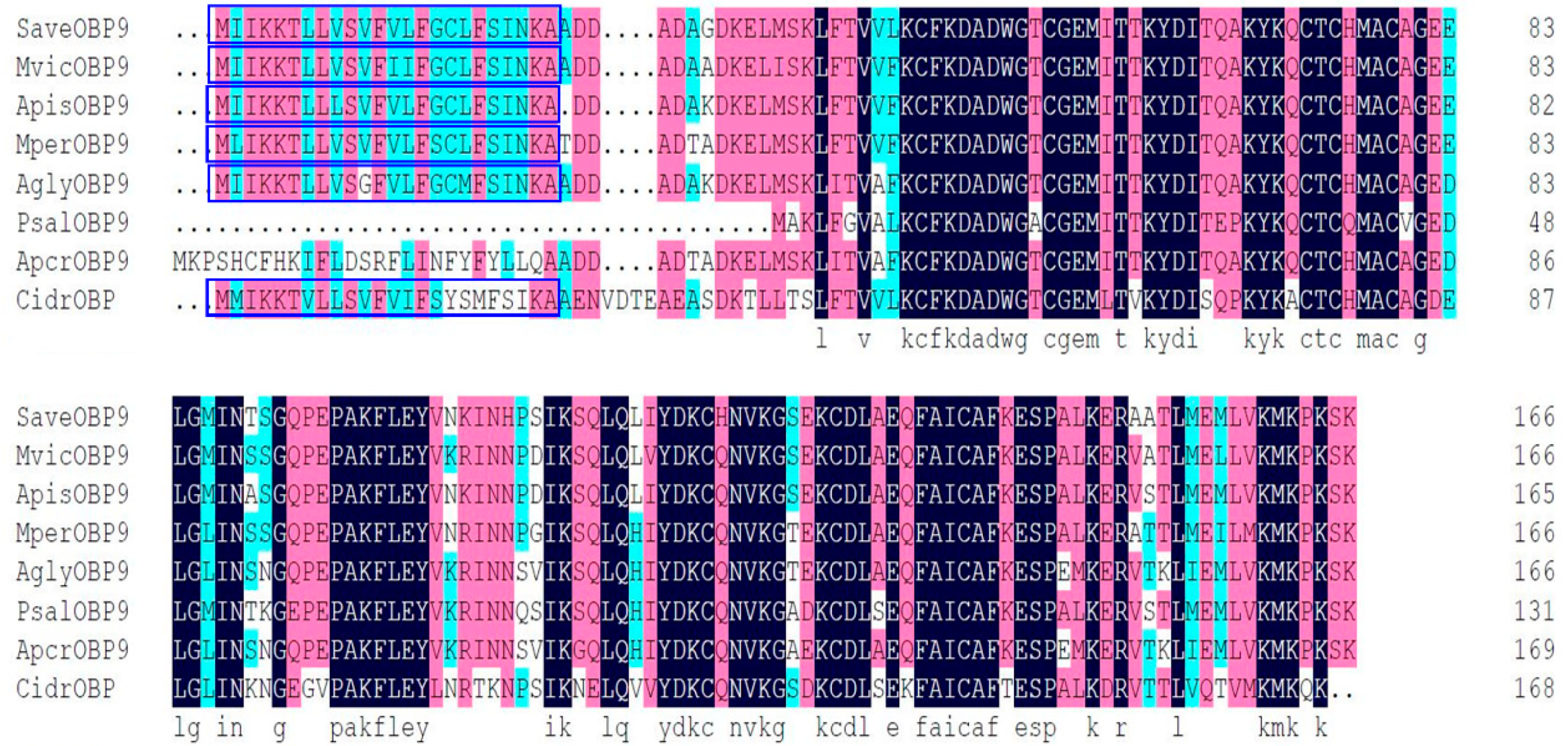 Ijms 21 08331 g001 Ijms 21 08331 g001