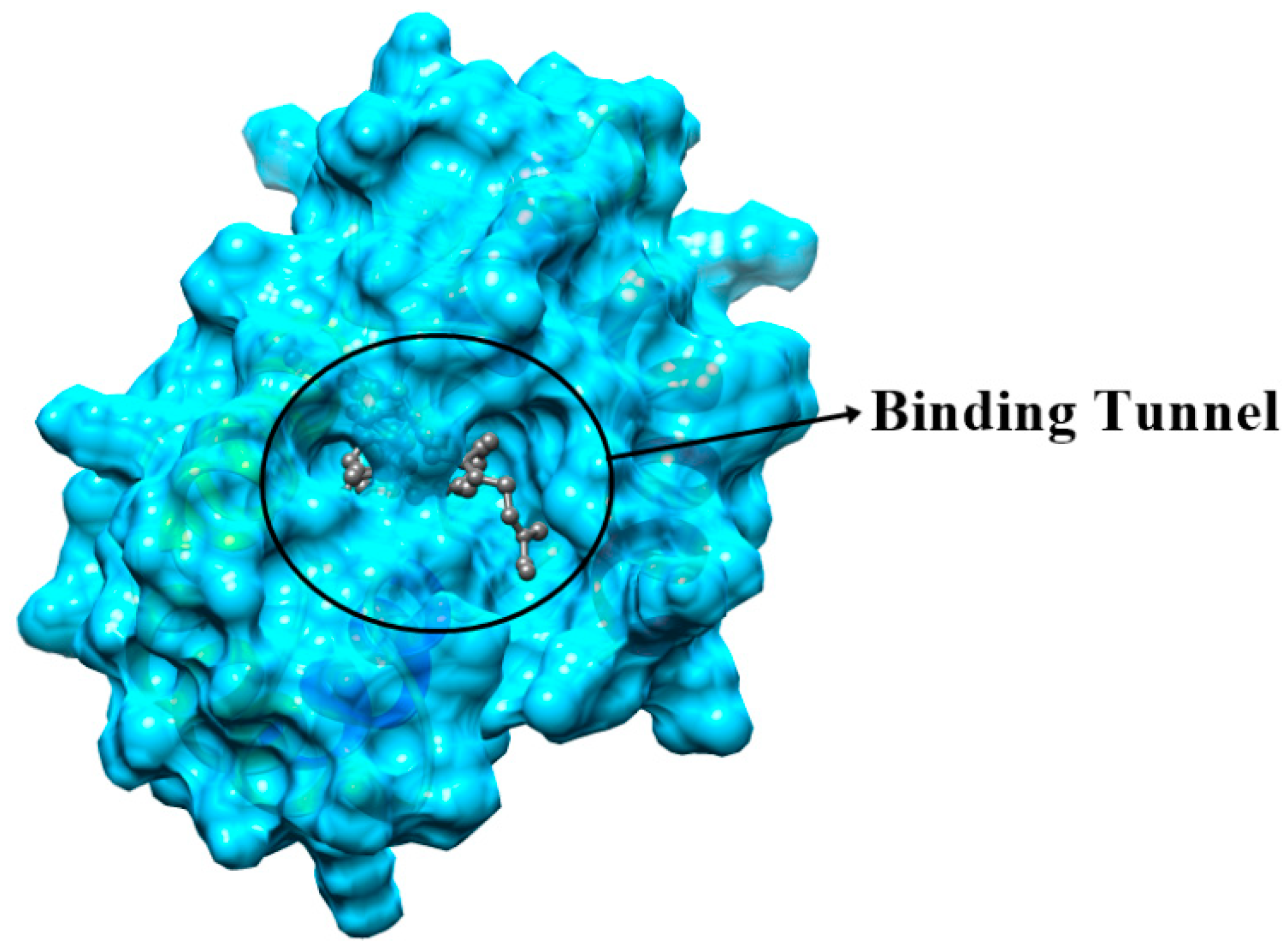 Ijms 21 08331 g008 Ijms 21 08331 g008