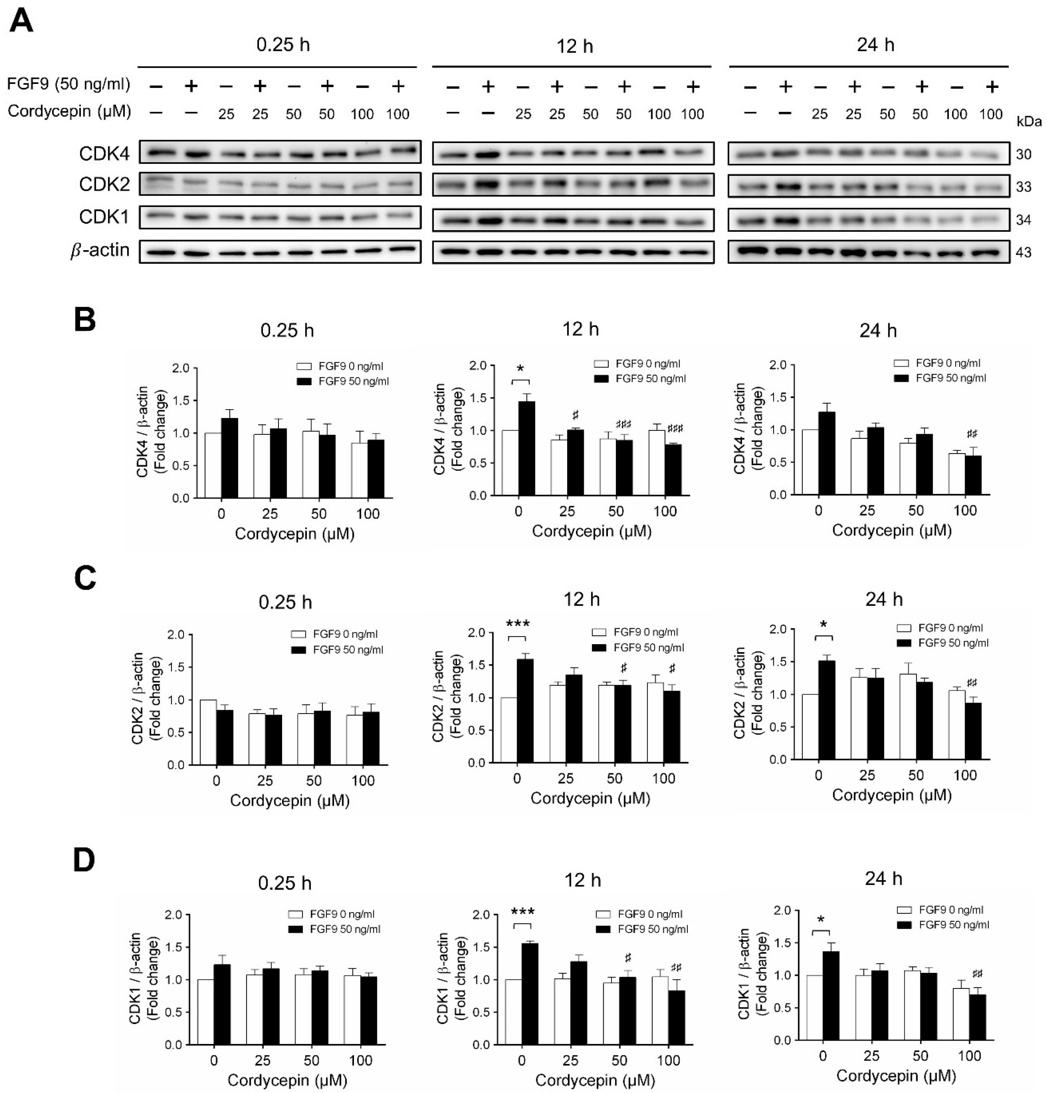 IJMS | Free Full-Text | Anti-Cancer Effect of Cordycepin on FGF9 ...