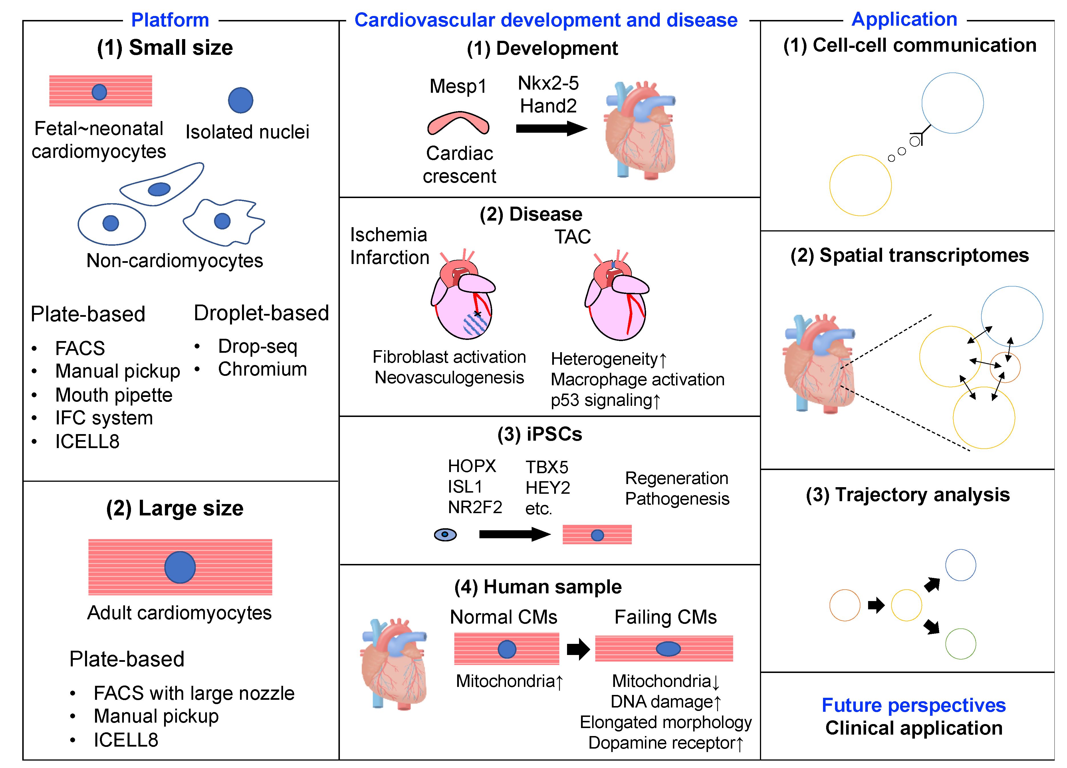 single cell sequence single cell sequence