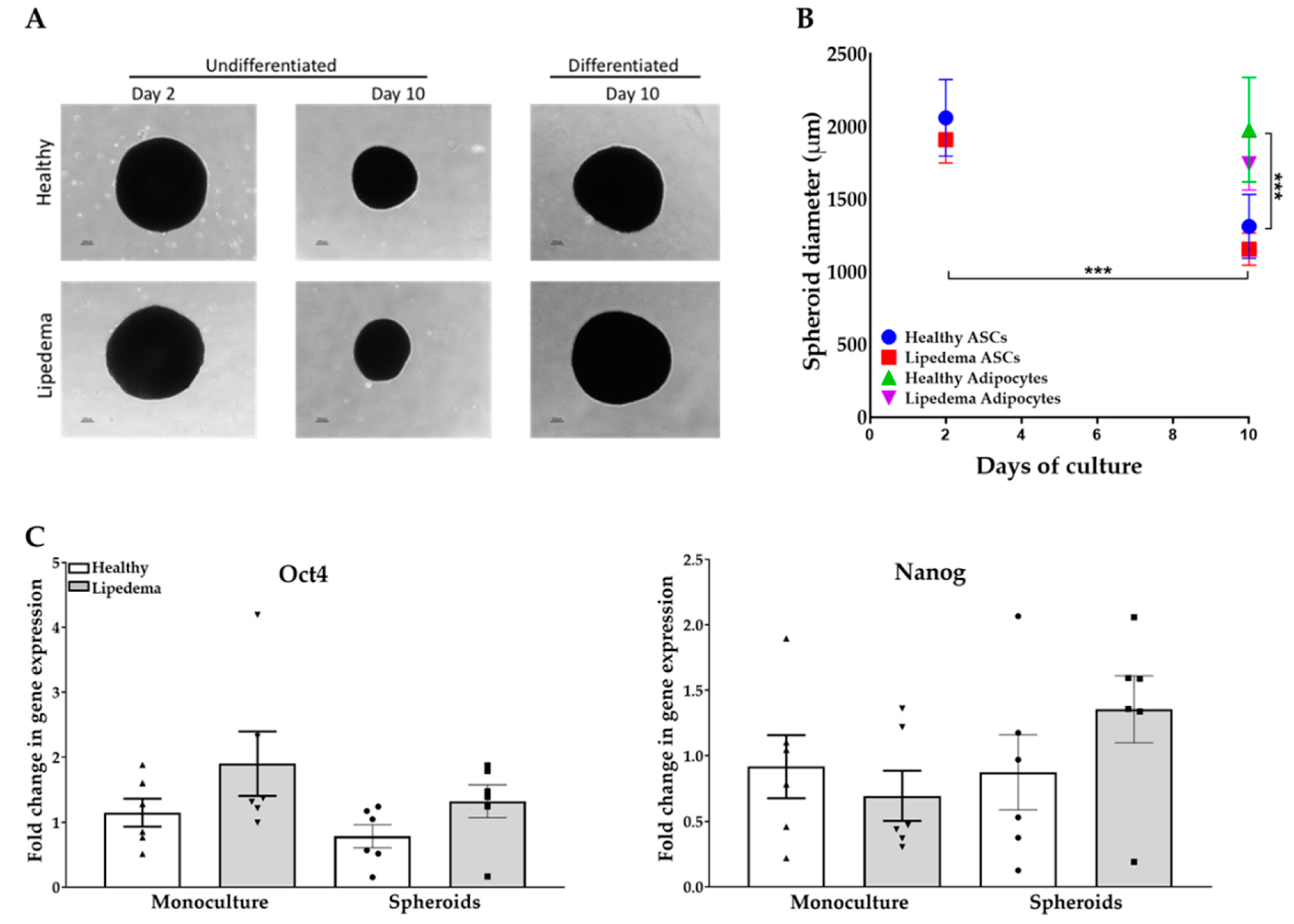 Ijms 21 08350 g001 Ijms 21 08350 g001