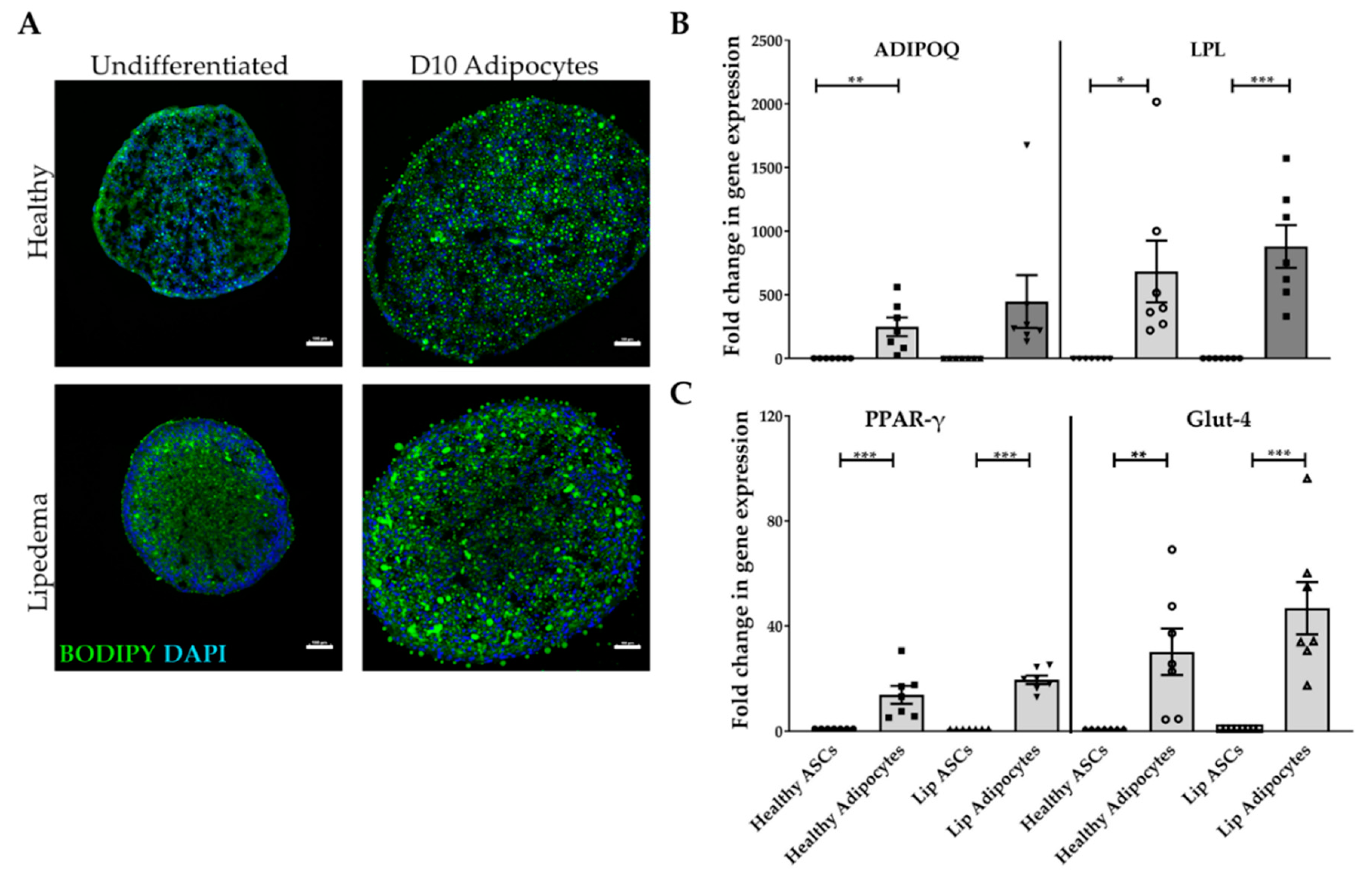 Ijms 21 08350 g002 Ijms 21 08350 g002